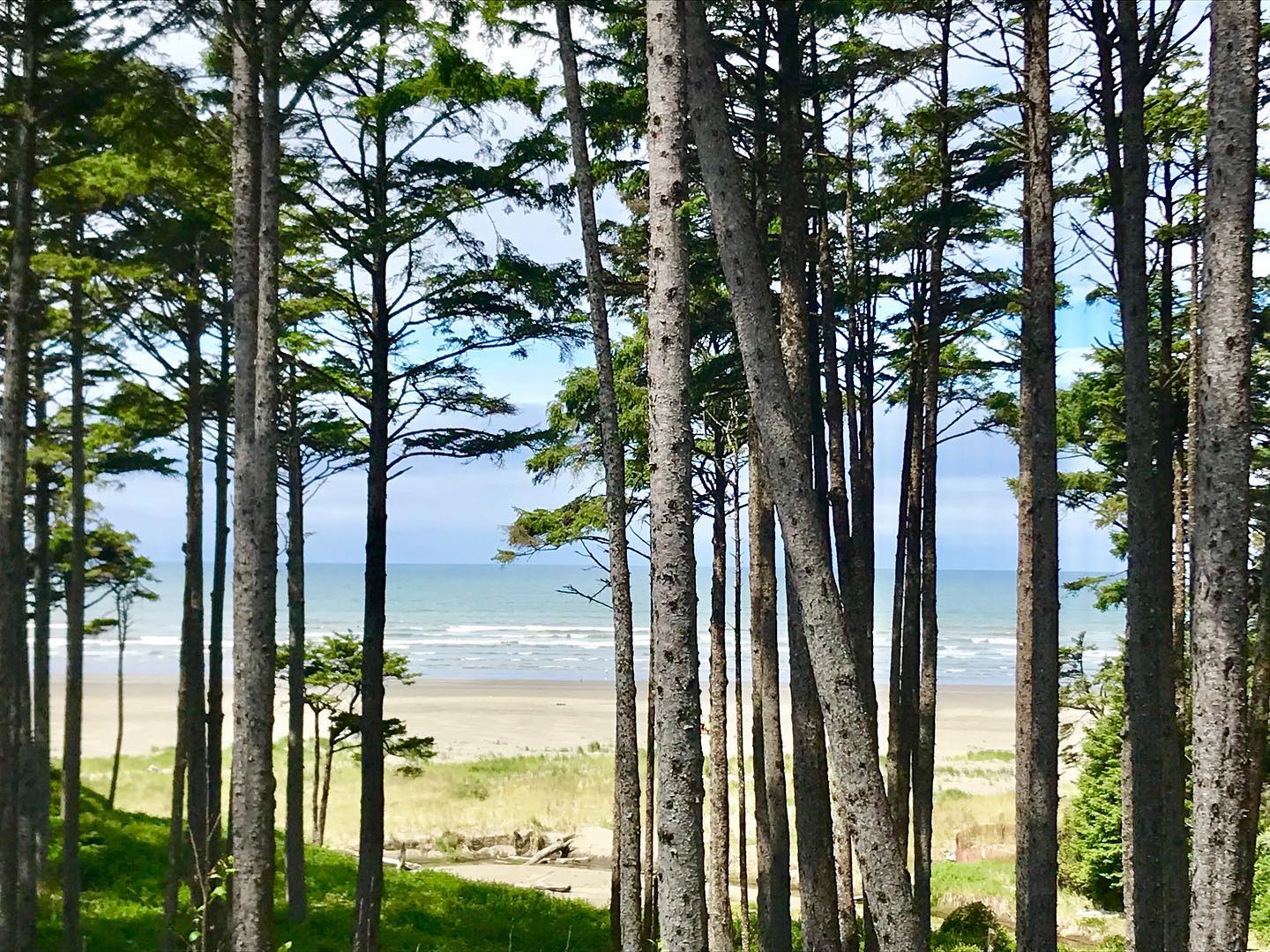 Beautiful NW coastal oceanfront view