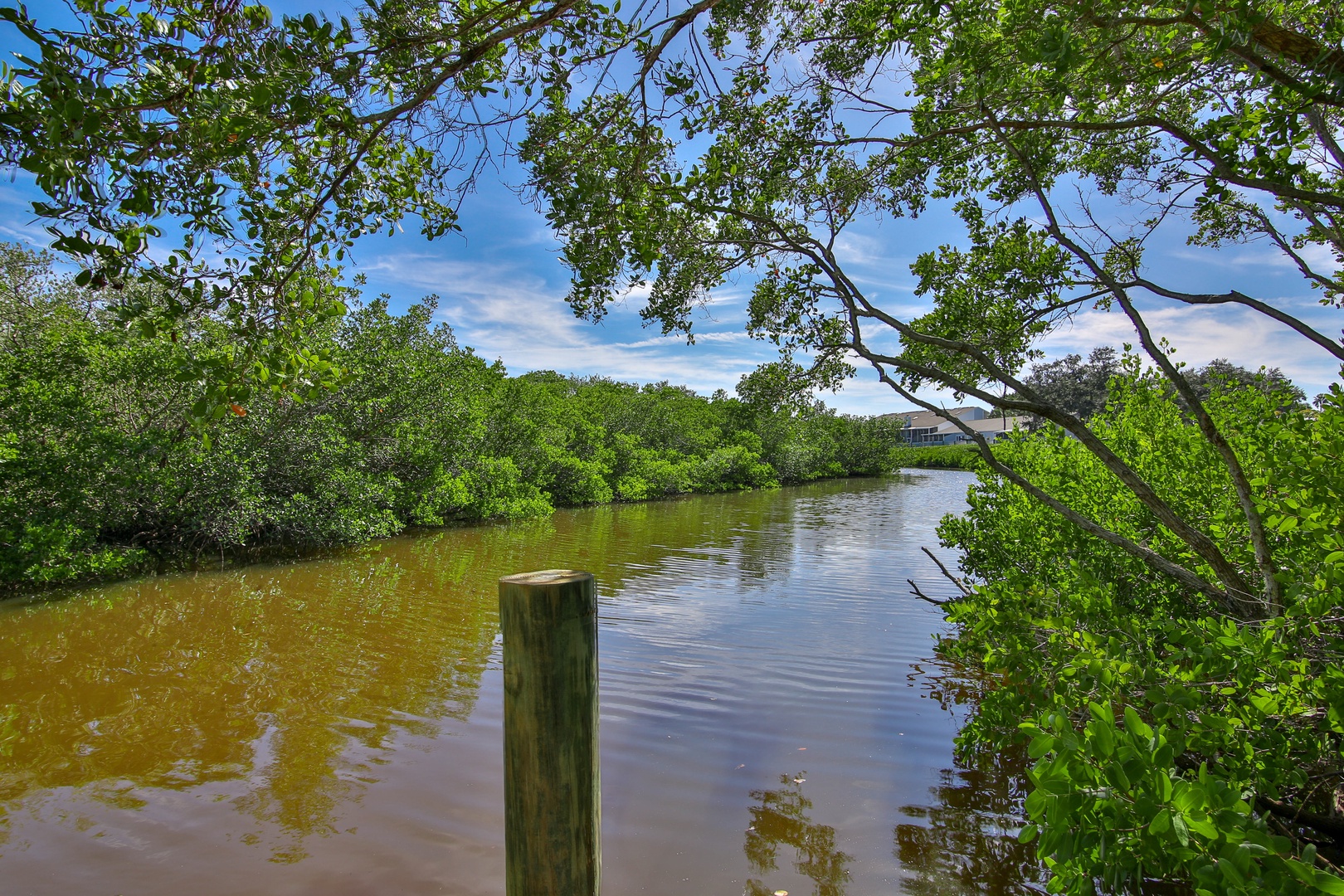 A serene waterway winds through lush mangroves under a bright blue sky, showcasing the natural beauty of the surrounding area.