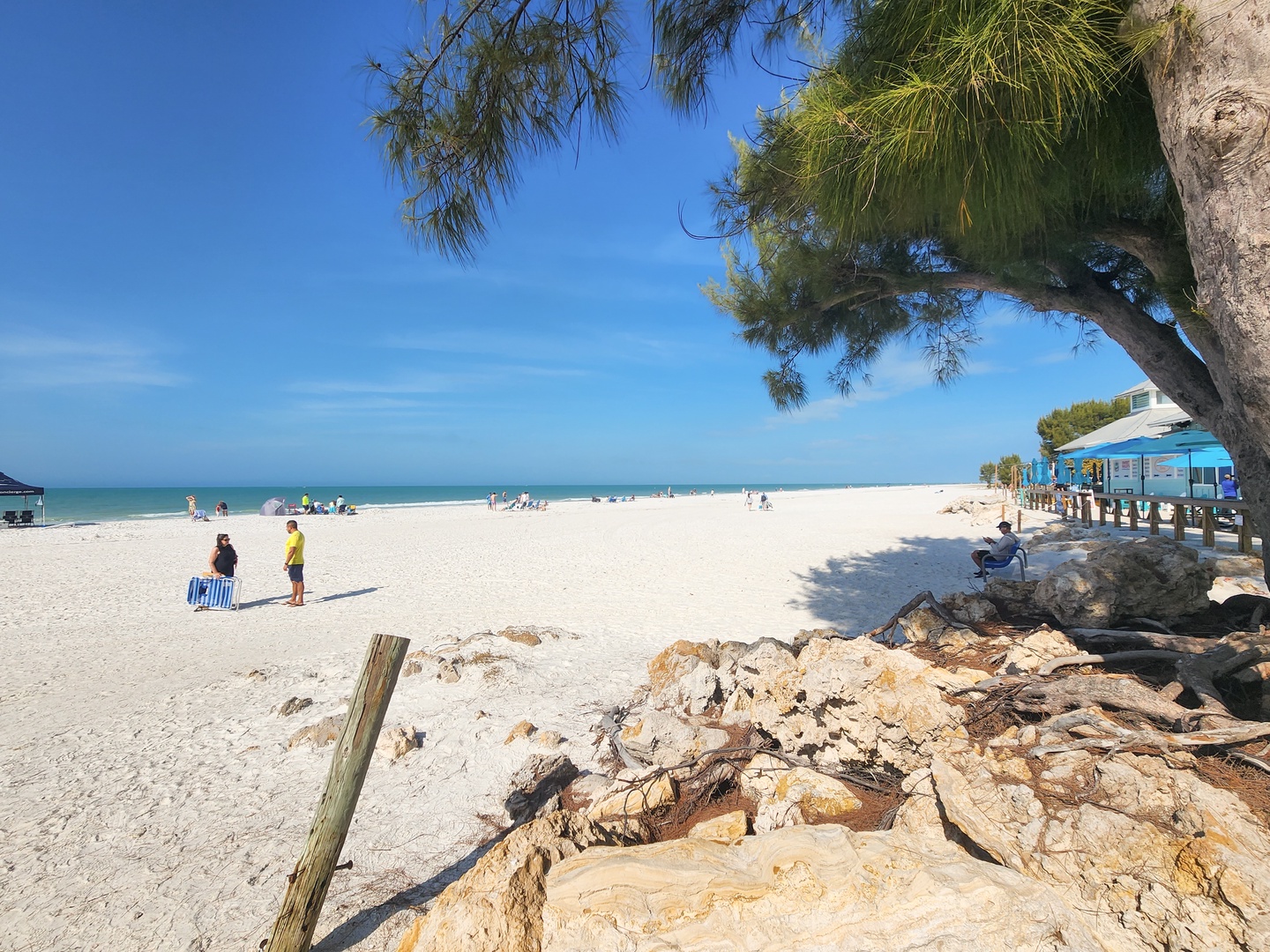 White sand beach stretches along turquoise waters under clear blue skies, with tropical palms providing natural shade.