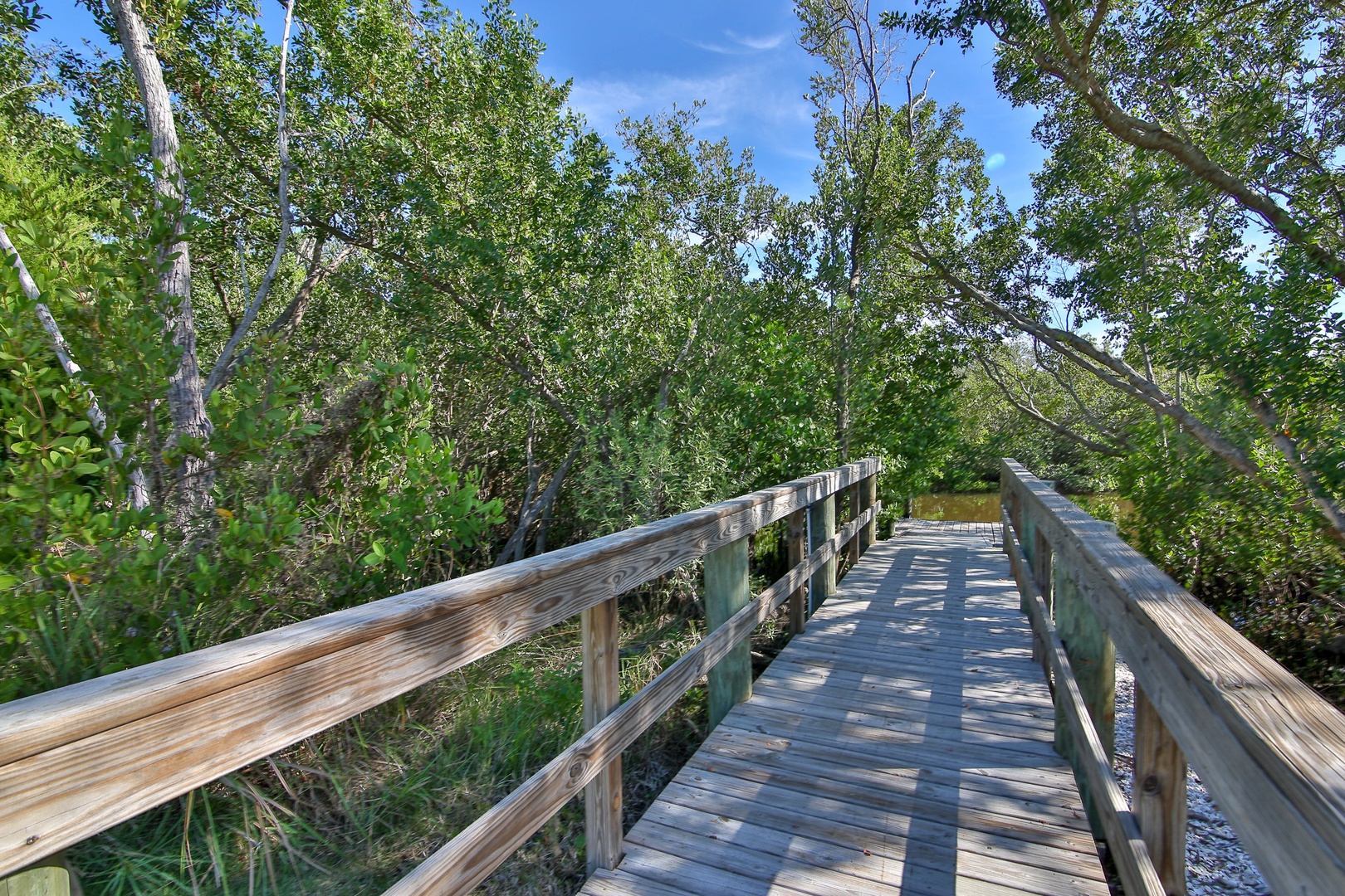 A wooden boardwalk leads through lush natural surroundings near the property, offering a peaceful spot to explore during the day.