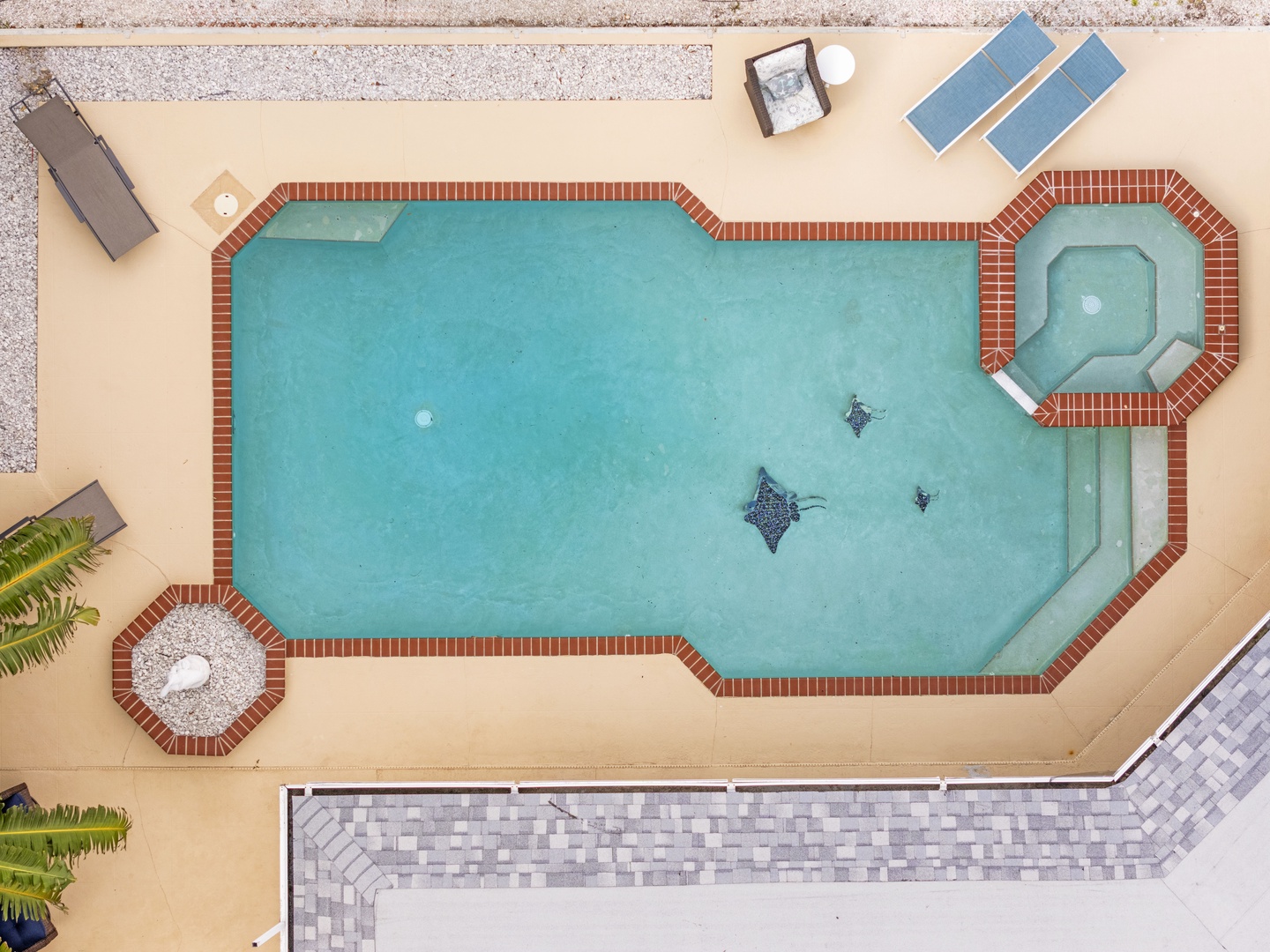 Aerial view of the property's swimming pool and hot tub area, with brick tile edging, surrounding deck, and nearby lounging spaces.