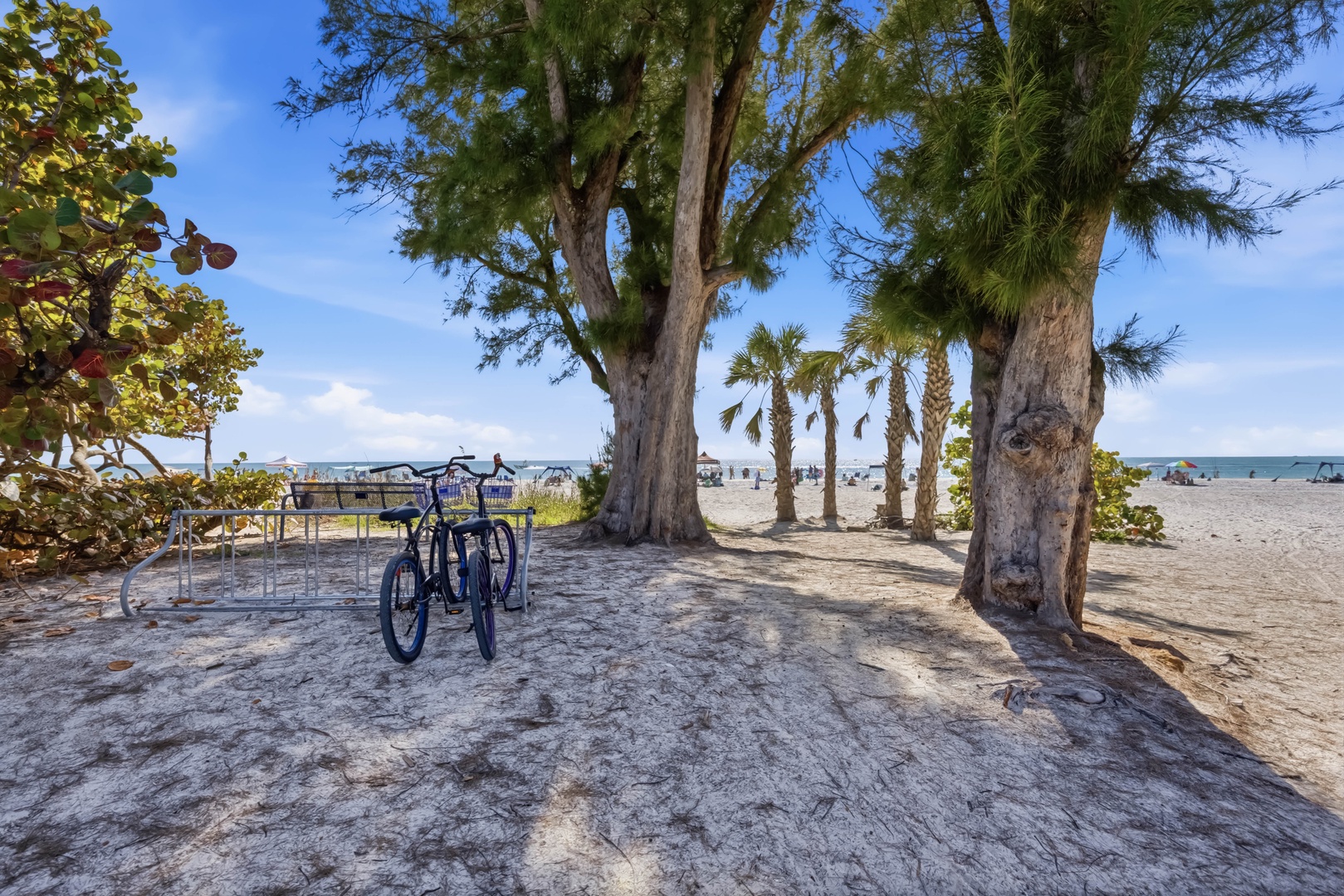 Tropical paradise with bicycles ready for beach adventures under swaying palms and crystal-clear waters.