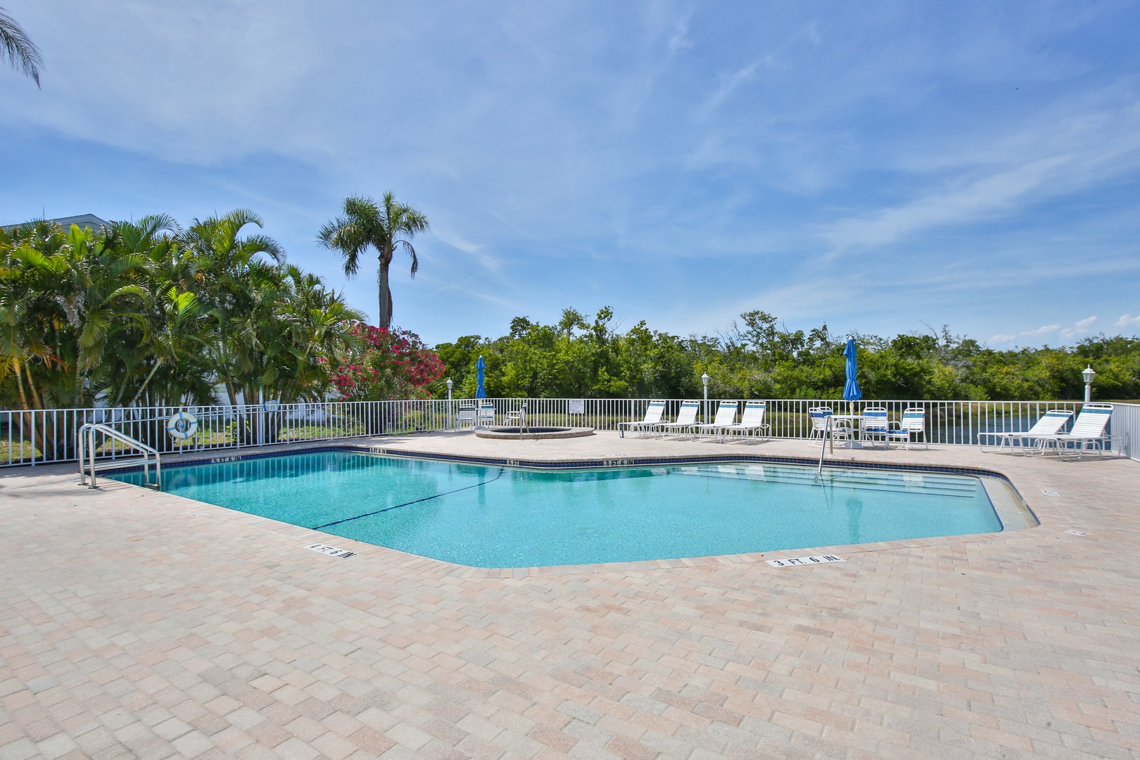Dive into crystal-clear waters surrounded by tropical palms and lush greenery—your perfect spot to unwind under the Florida sun.