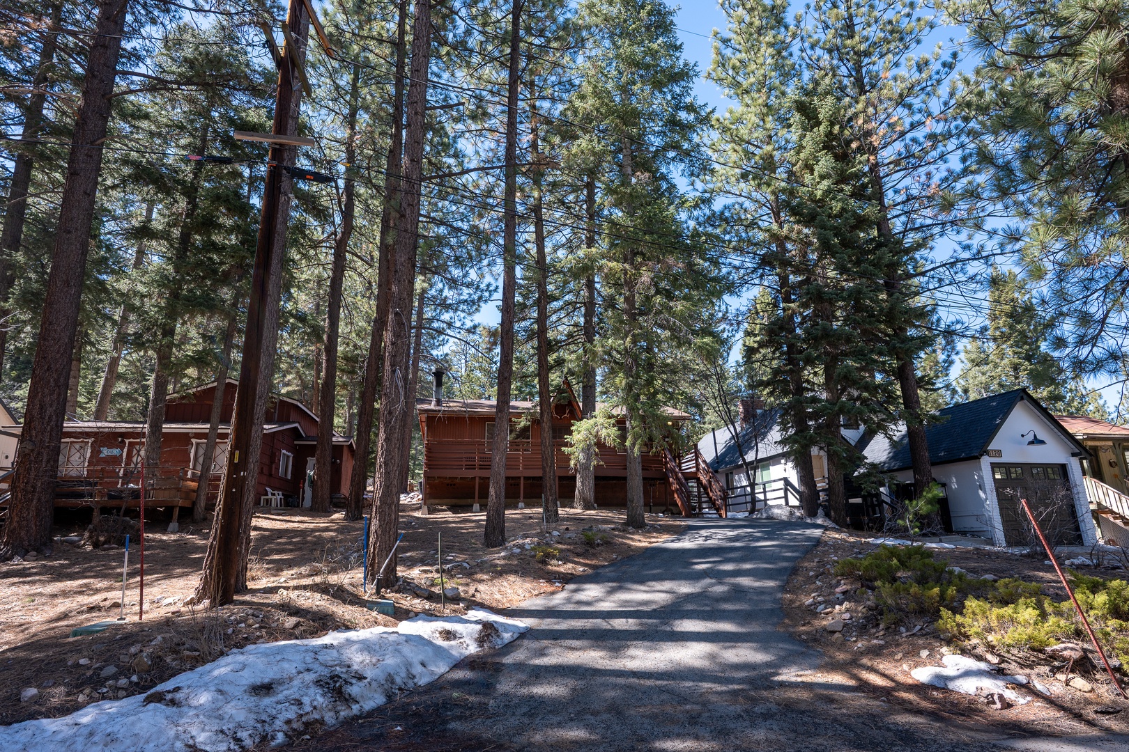 Mountain cabin rentals tucked among towering pines, offering peaceful forest surroundings and easy access via a paved driveway with parking.