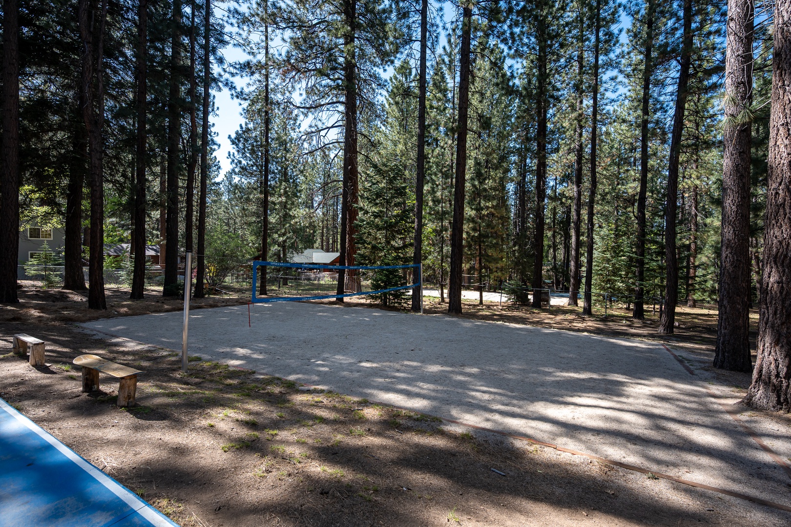 A peaceful recreational space nestled among towering pines, featuring a volleyball court and open area perfect for outdoor activities and gathering with friends and family.