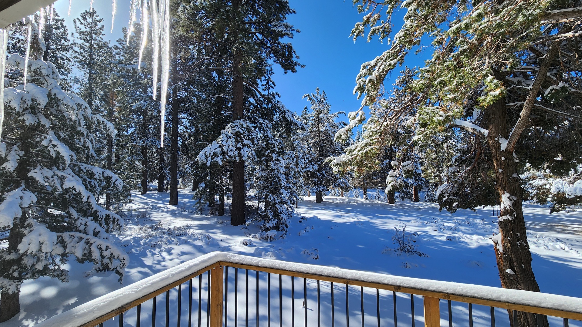 Snow-covered forest creates a magical winter wonderland