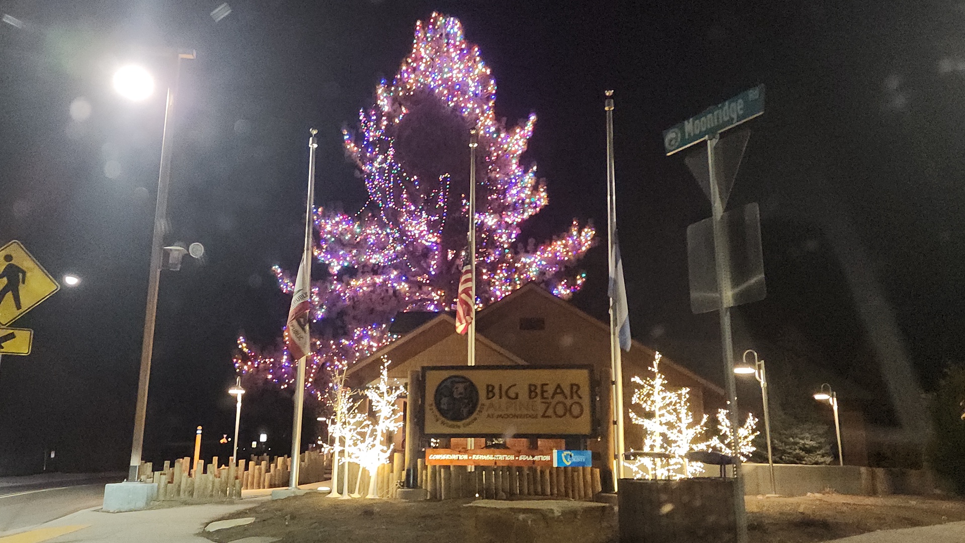 Festive holiday lights illuminate the Big Bear Alpine Zoo entrance, creating a magical winter wonderland atmosphere in the neighborhood.