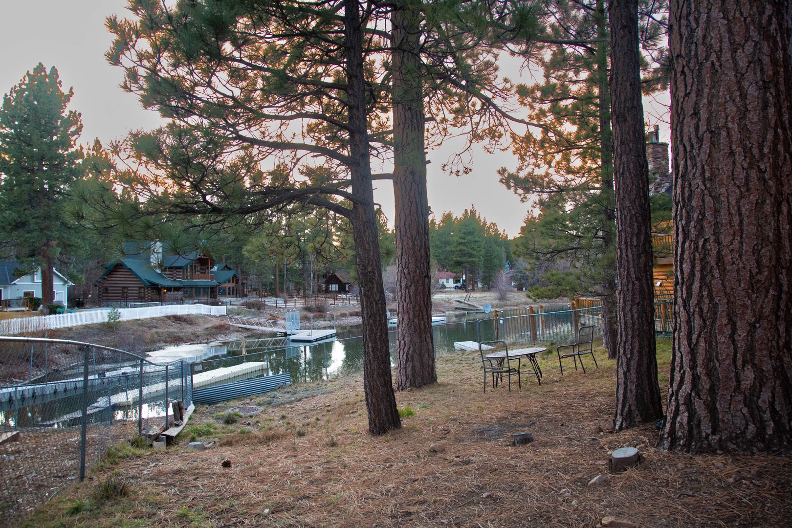 Pine trees lead the way down to the lake!