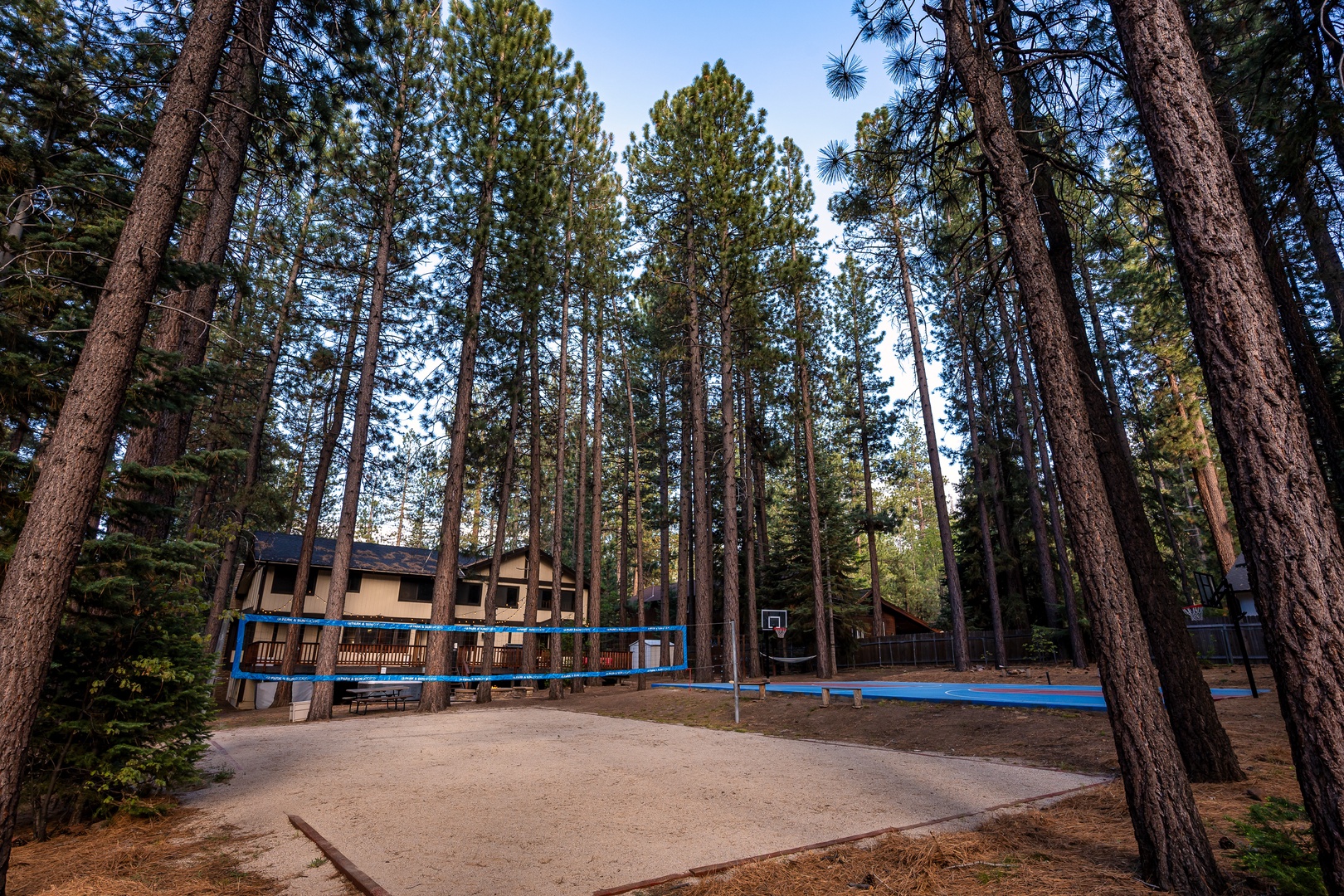 Nestled among towering pines, this property offers a serene forest setting with basketball court and spacious outdoor areas for gathering and play.