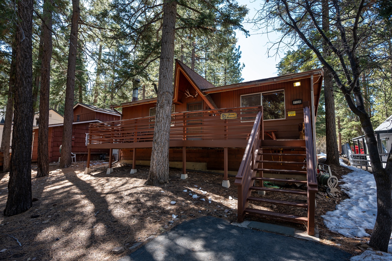 Charming mountain cabin nestled among towering pines, offering a peaceful forest retreat with modern comfort and natural beauty.