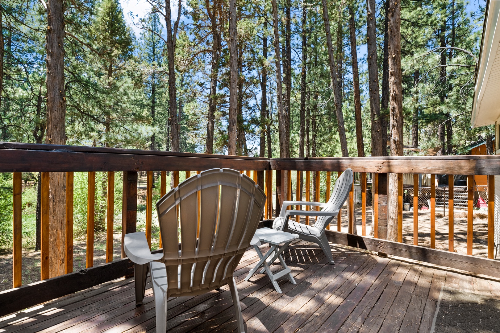 A peaceful deck nestled among towering pines, where you can unwind in an Adirondack chair and soak in the serene forest views surrounding your private retreat.