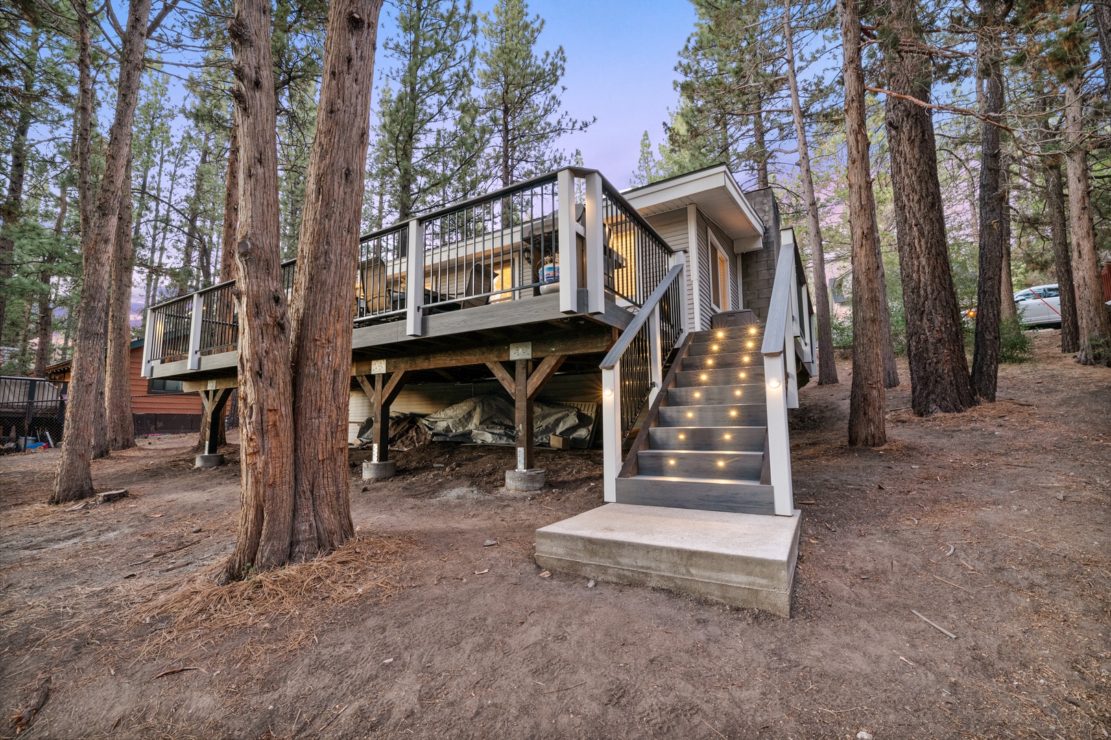 Modern mountain cabin nestled among towering pines, with a welcoming deck and lit stairway entrance in a serene natural forest setting.