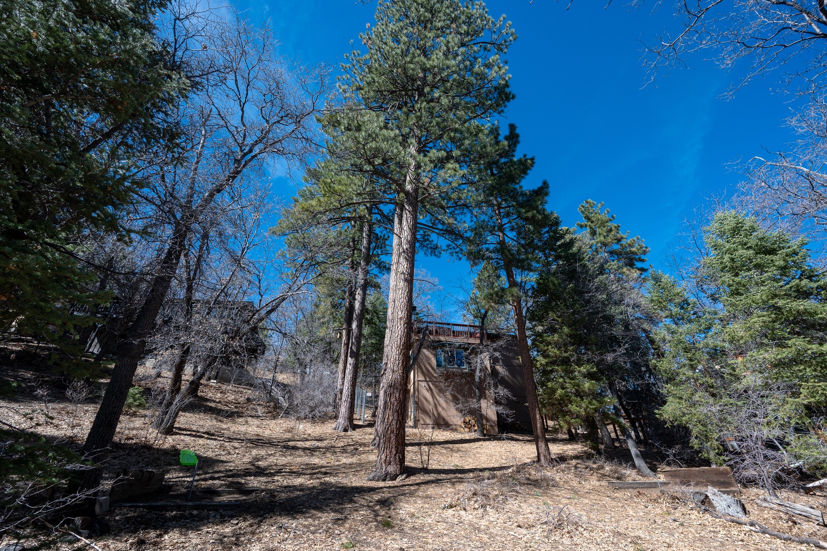 Secluded forest cabin nestled among towering pines under brilliant blue skies, offering peaceful retreat surrounded by nature.
