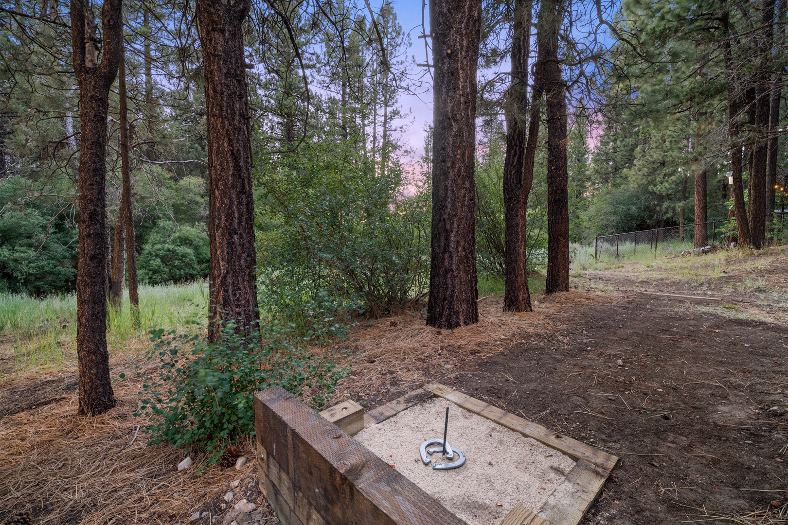 A horseshoe pit awaits friendly competition among towering pines, where natural beauty meets outdoor recreation in this peaceful, forested setting.
