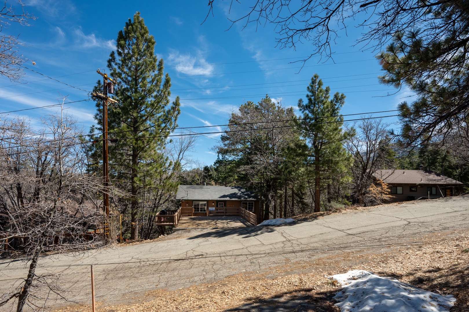 A tree-lined residential street leads to the property, nestled in a peaceful neighborhood surrounded by natural beauty and towering pines.