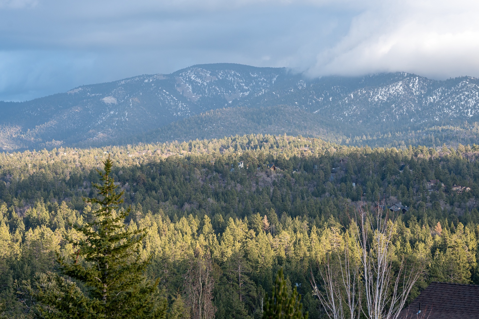 Majestic mountain landscape with snow-dusted peaks rising above dense forest canopy under dramatic cloudy skies.