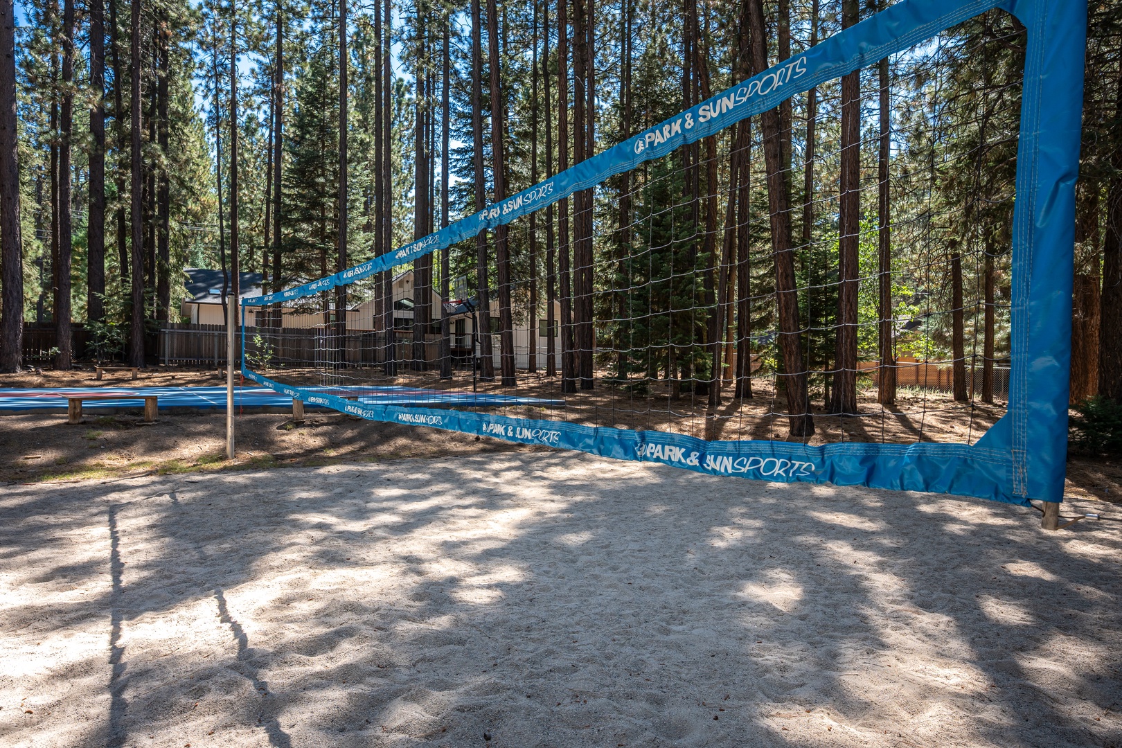 Beach volleyball under the pines!