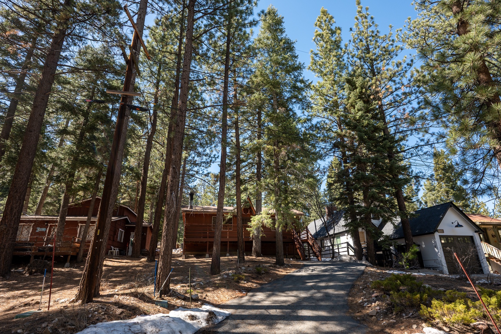 Nestled among towering pines, this property offers a peaceful retreat in a natural forest setting with private parking and easy access.