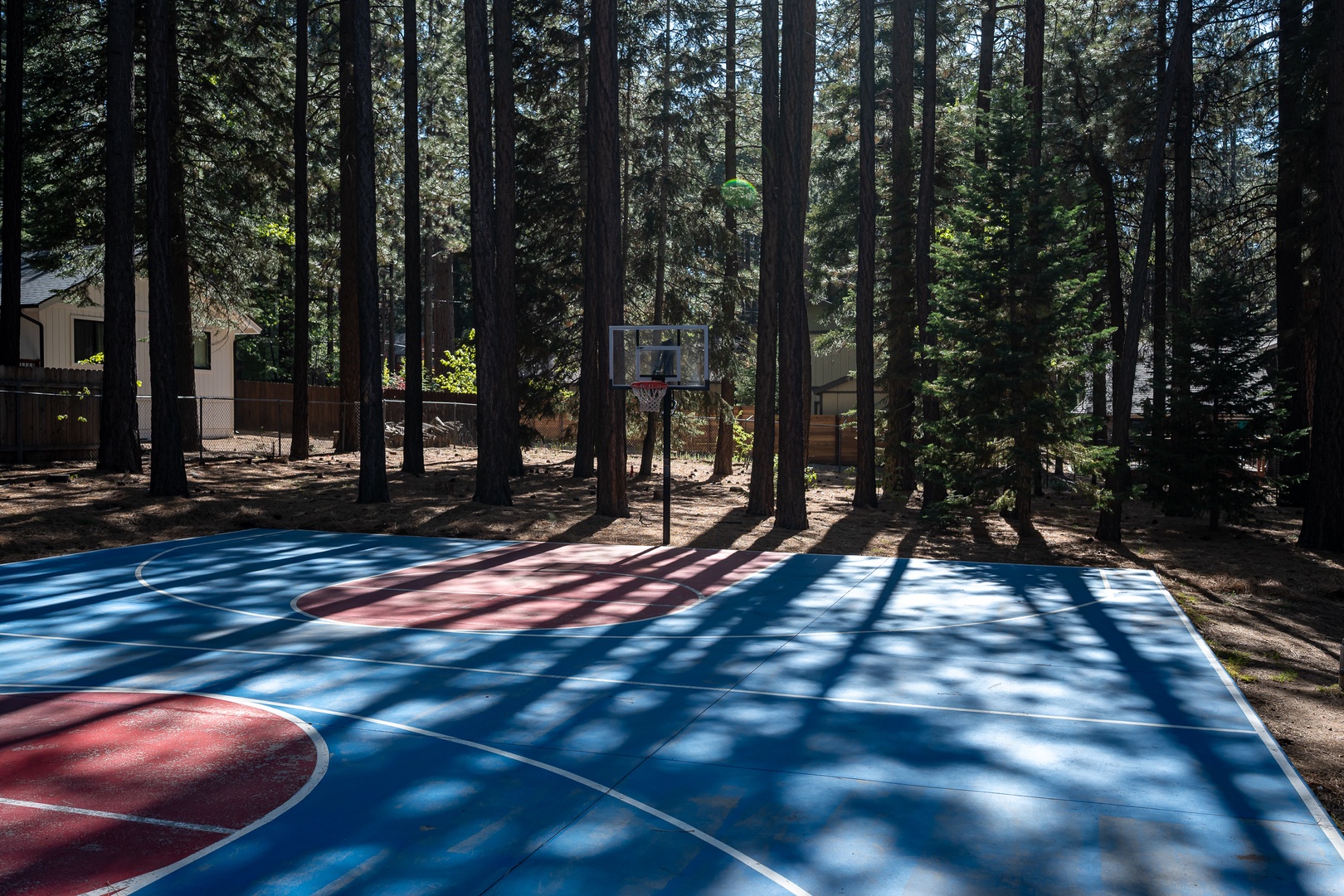 This private outdoor basketball court is set among towering pines, offering a unique mountain retreat for recreation and relaxation in nature.