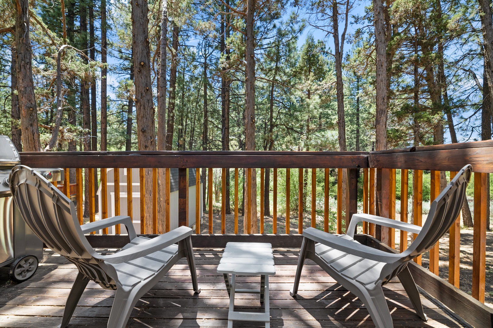 A peaceful pine forest setting just beyond your private deck, where two lounge chairs and a table await your morning coffee or sunset unwinding.