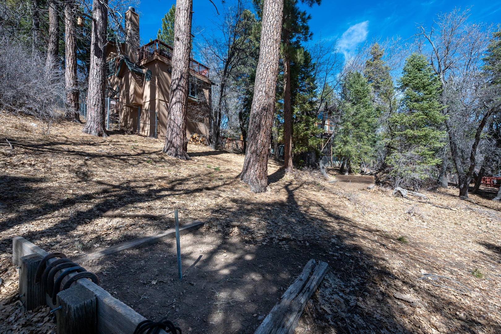 A secluded mountain retreat nestled among towering pines, offering a peaceful forest setting with rustic charm.