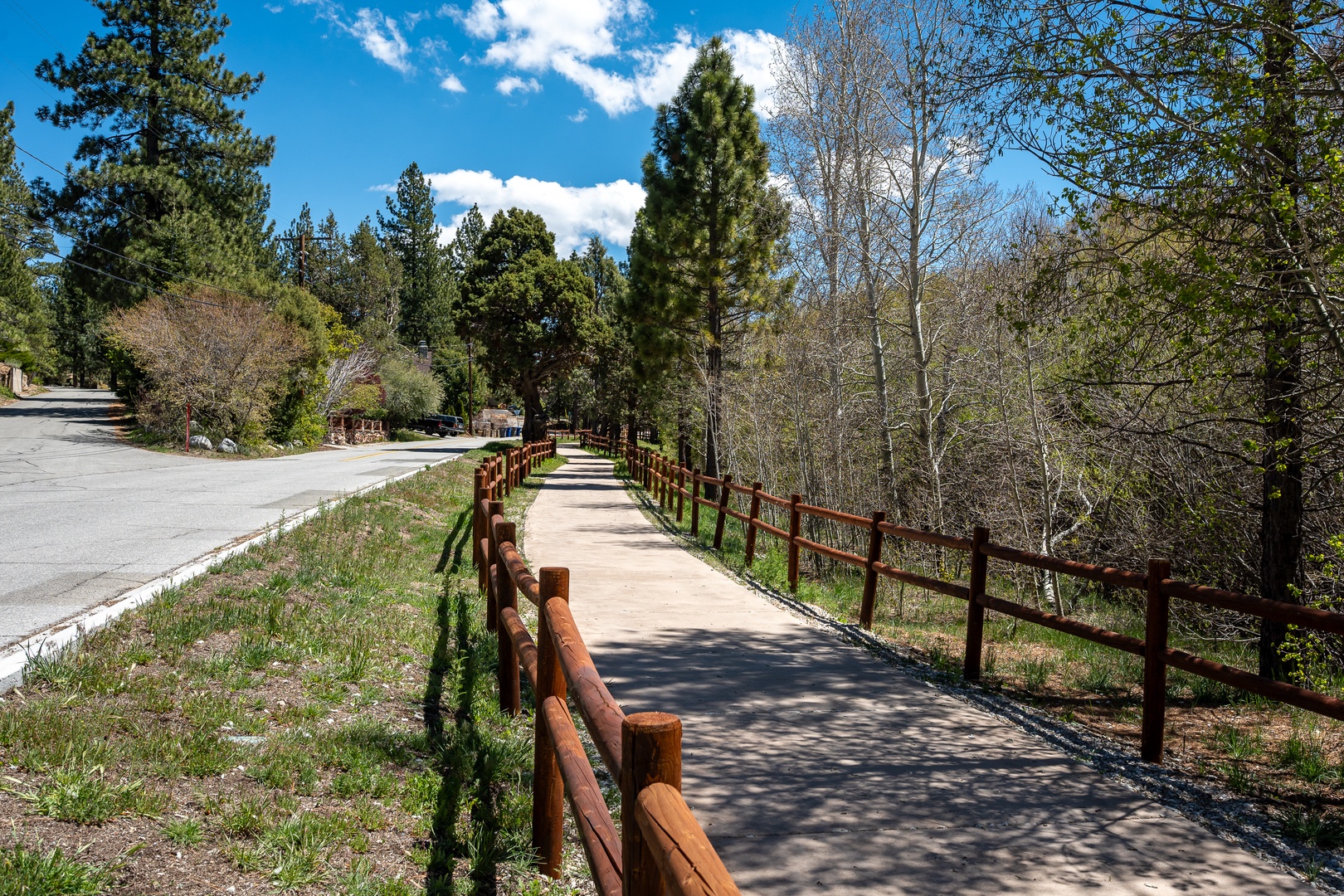 A paved walking path winds through a tranquil forested neighborhood with tall evergreens and clear blue skies overhead, perfect for leisurely strolls near the property.