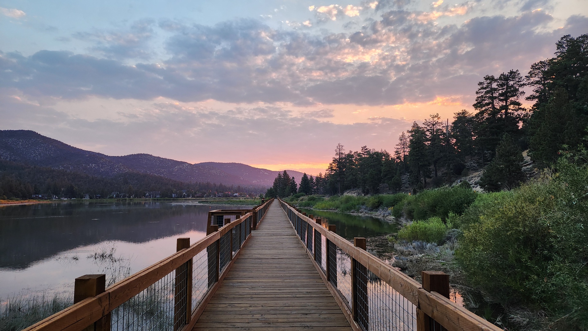Stanfield Marsh Wildlife Boardwalk