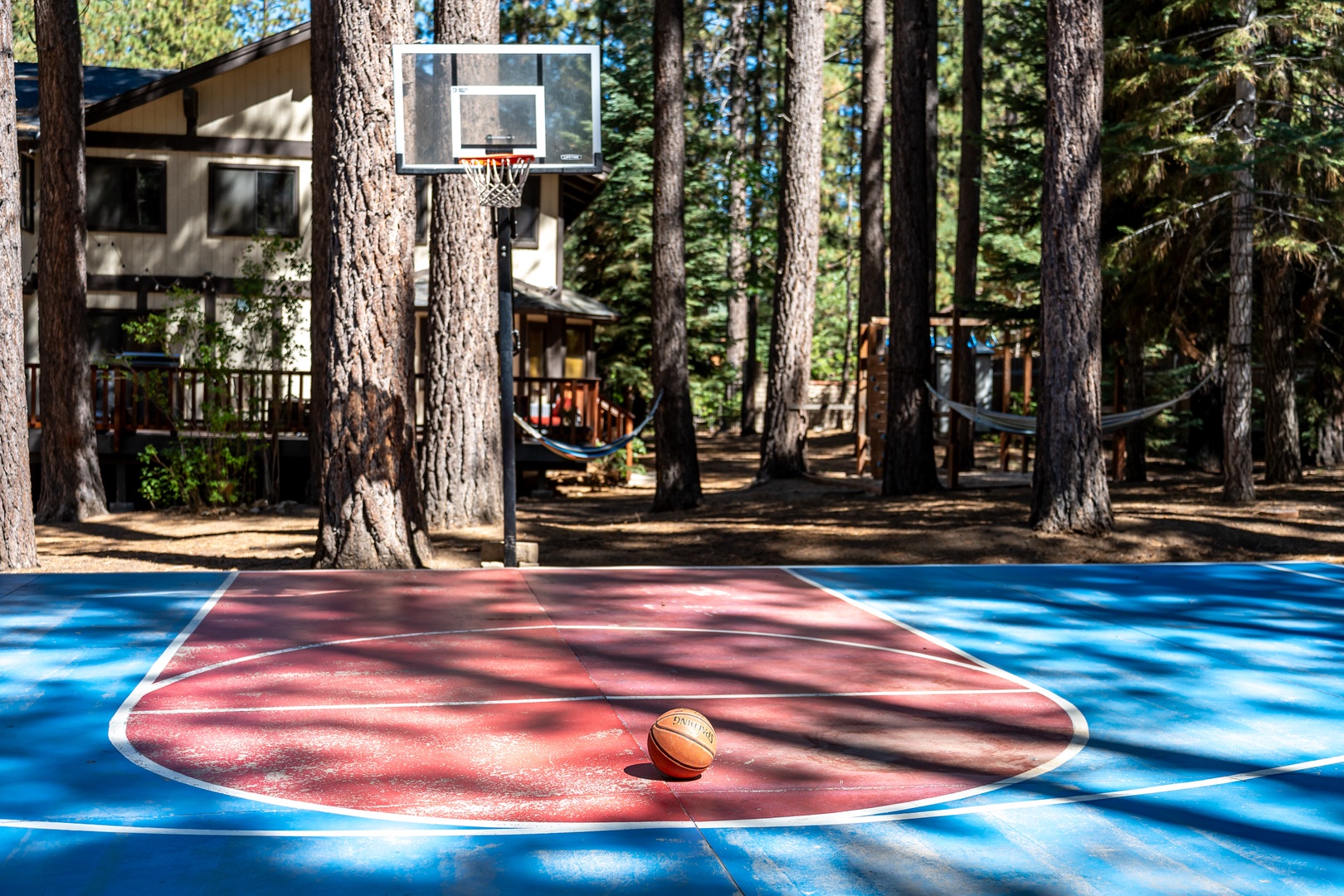Head to the backyard for a round of basketball.