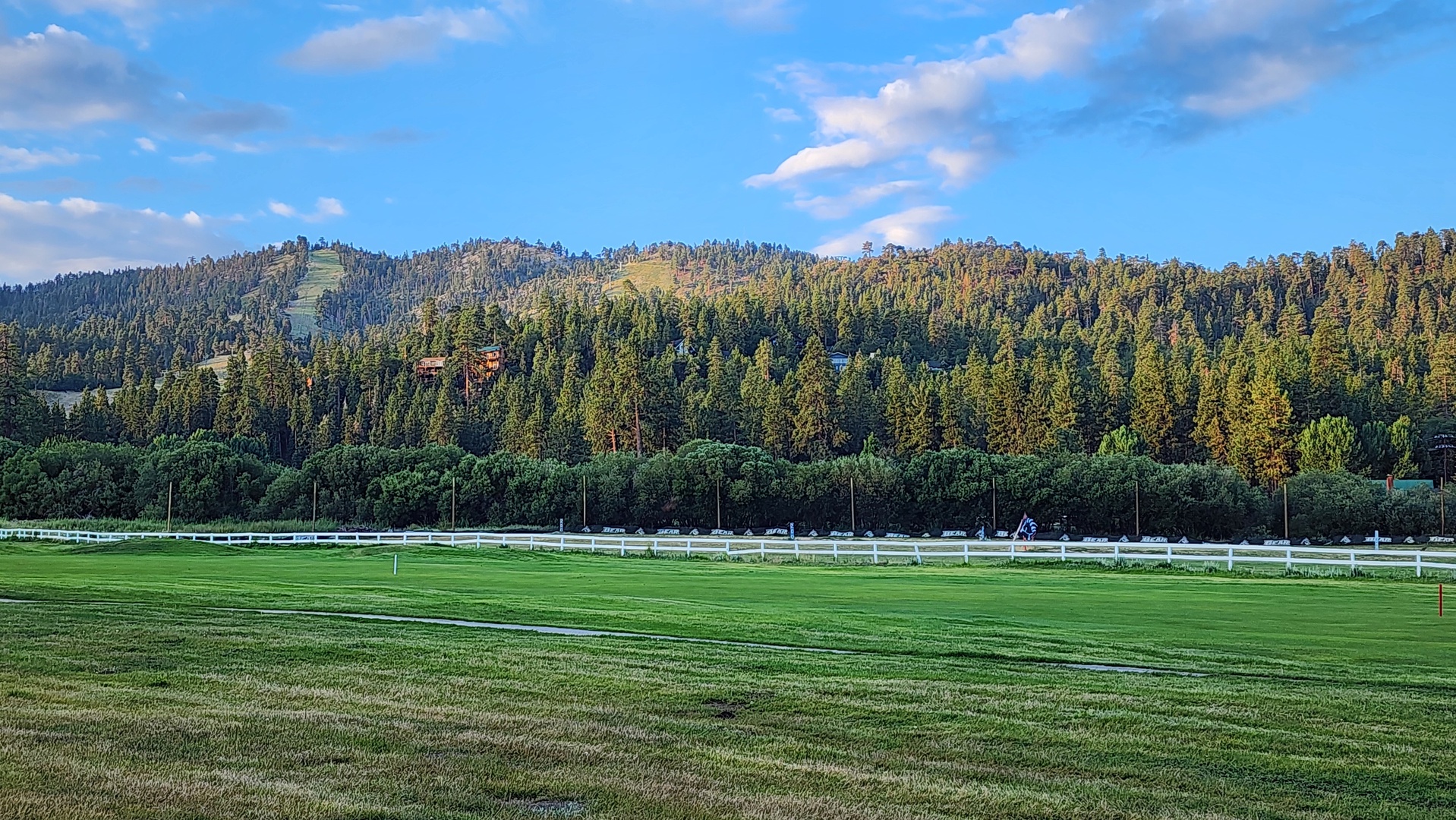 Golf course and forest