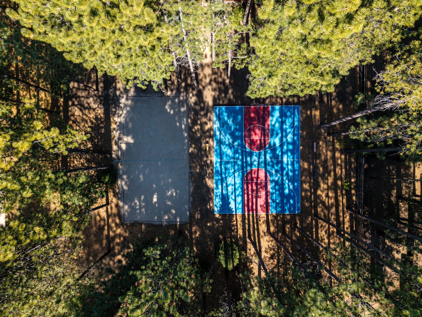 An aerial perspective reveals an outdoor basketball court nestled among towering evergreens, offering an active recreation spot within a peaceful natural setting.