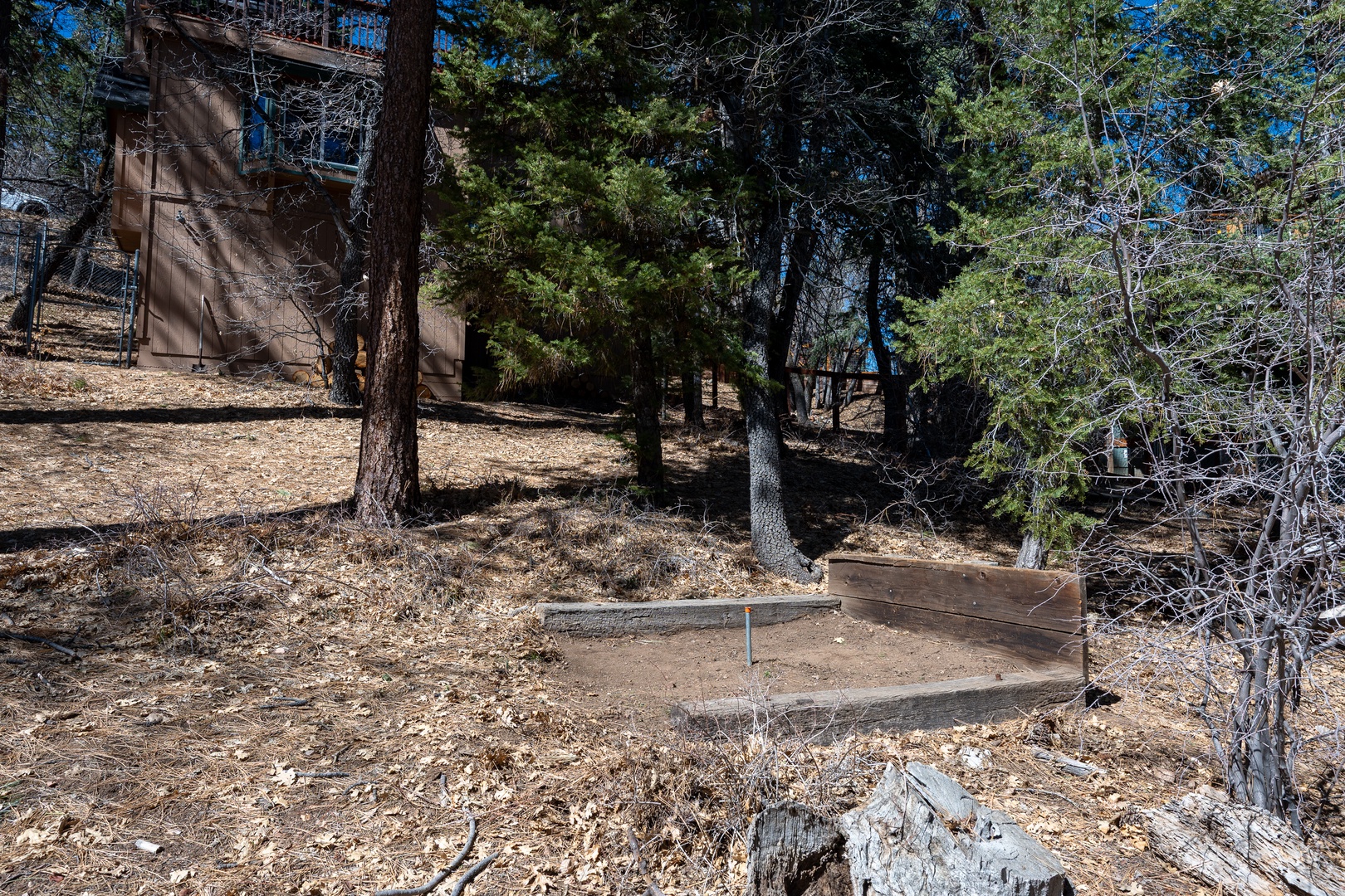 A peaceful forested setting with the property nestled among tall pines and natural landscape.