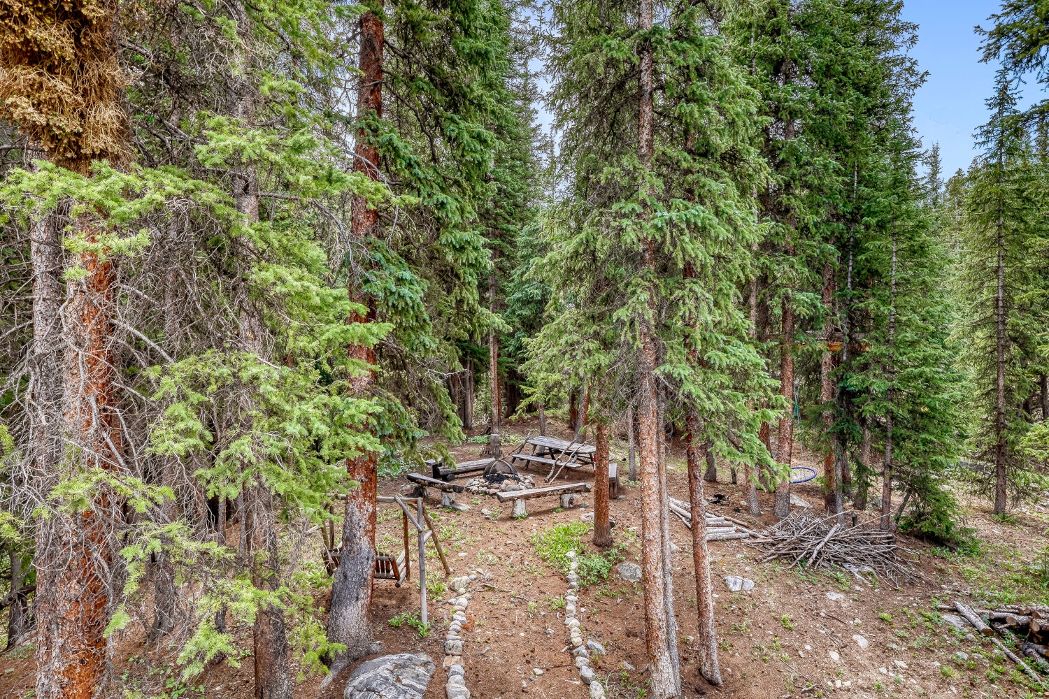 Property nestled among towering pines and natural forest surroundings, offering a peaceful mountain retreat setting.