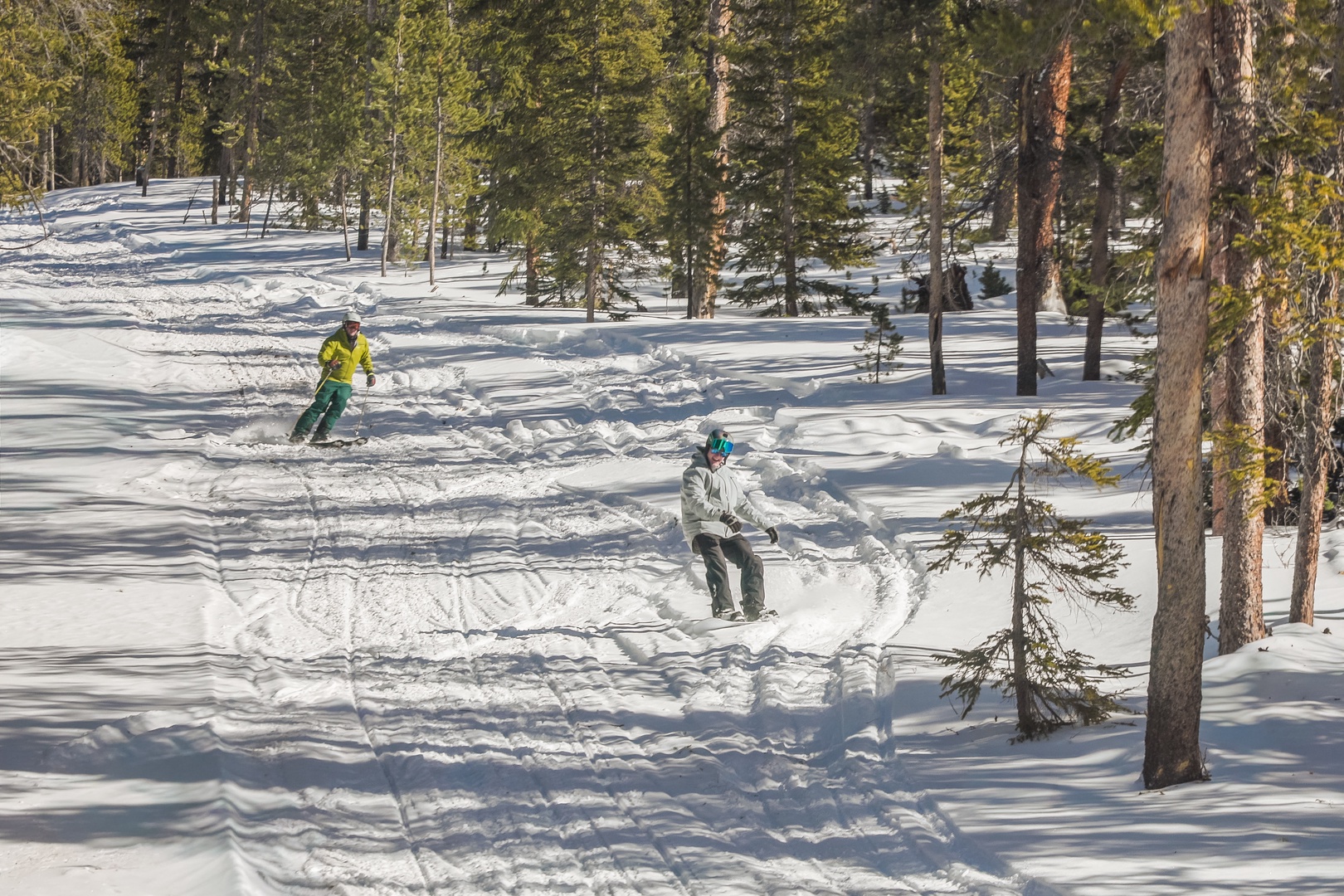 Alpine ski slopes wind through pristine evergreen forests, offering terrain for skiers of all levels during winter season.