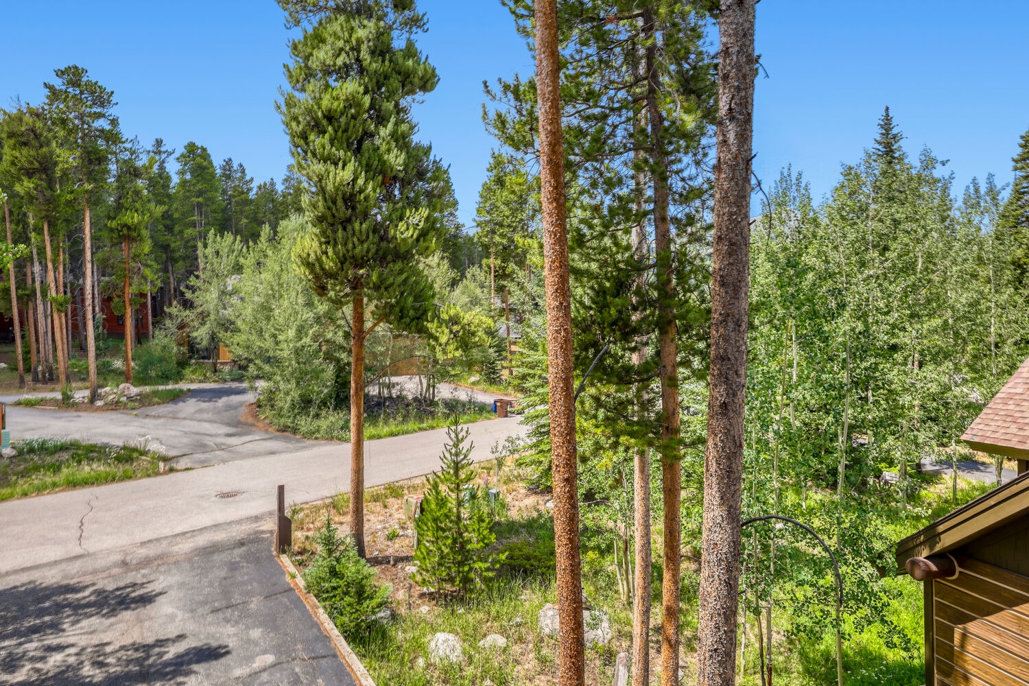 Nestled among tall pines and lush greenery, this property offers serene natural surroundings and convenient access to the neighborhood's quiet streets and forested landscape.