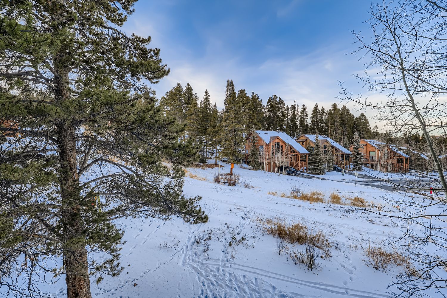 Modern mountain chalets nestled among snow-covered pines offer a perfect winter retreat in this pristine alpine setting.