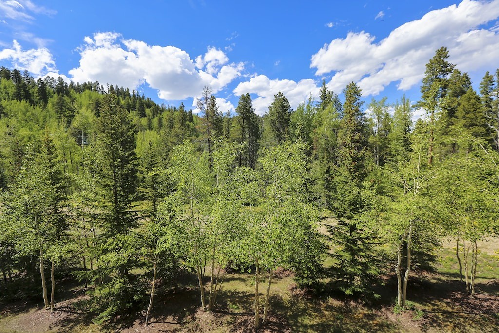 Pristine forest landscape surrounds the property with lush green trees and rolling hills under a brilliant blue sky.