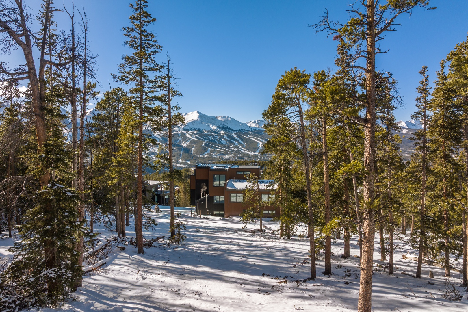 Modern mountain retreat nestled among snow-dusted pines with stunning ski slopes in the backdrop.