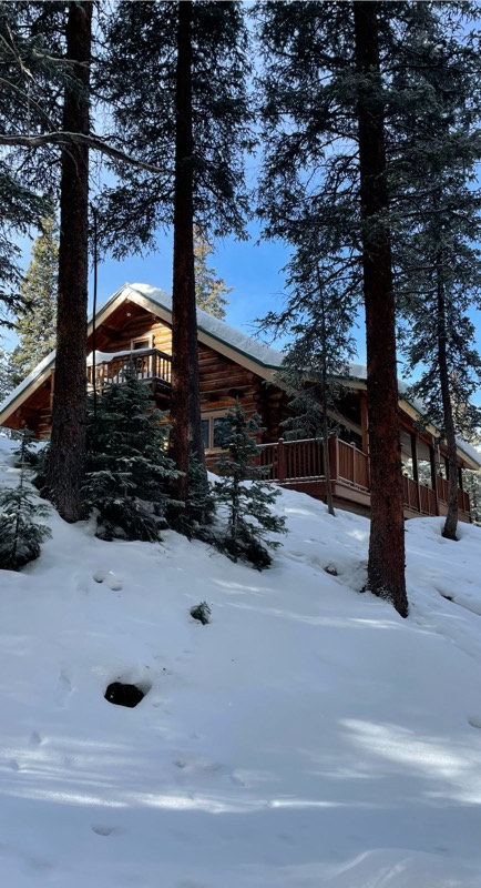 Your charming mountain cabin awaits nestled among towering pines, with fresh snow blanketing the ground and sunlight filtering through the trees—a perfect winter retreat in the heart of nature.