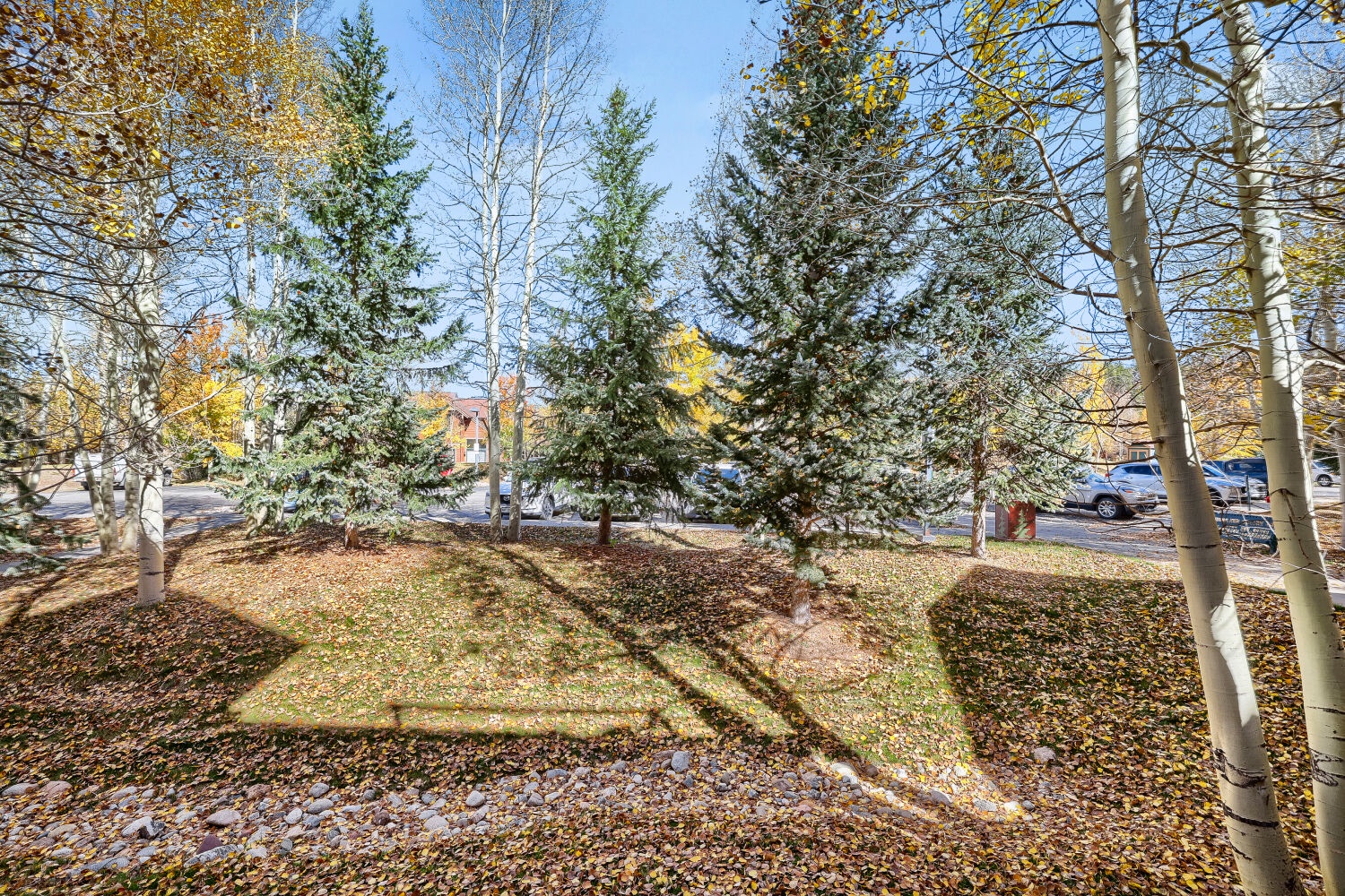 The property is nestled among towering evergreens and golden aspens, offering a peaceful mountain retreat where nature surrounds every moment of your stay.