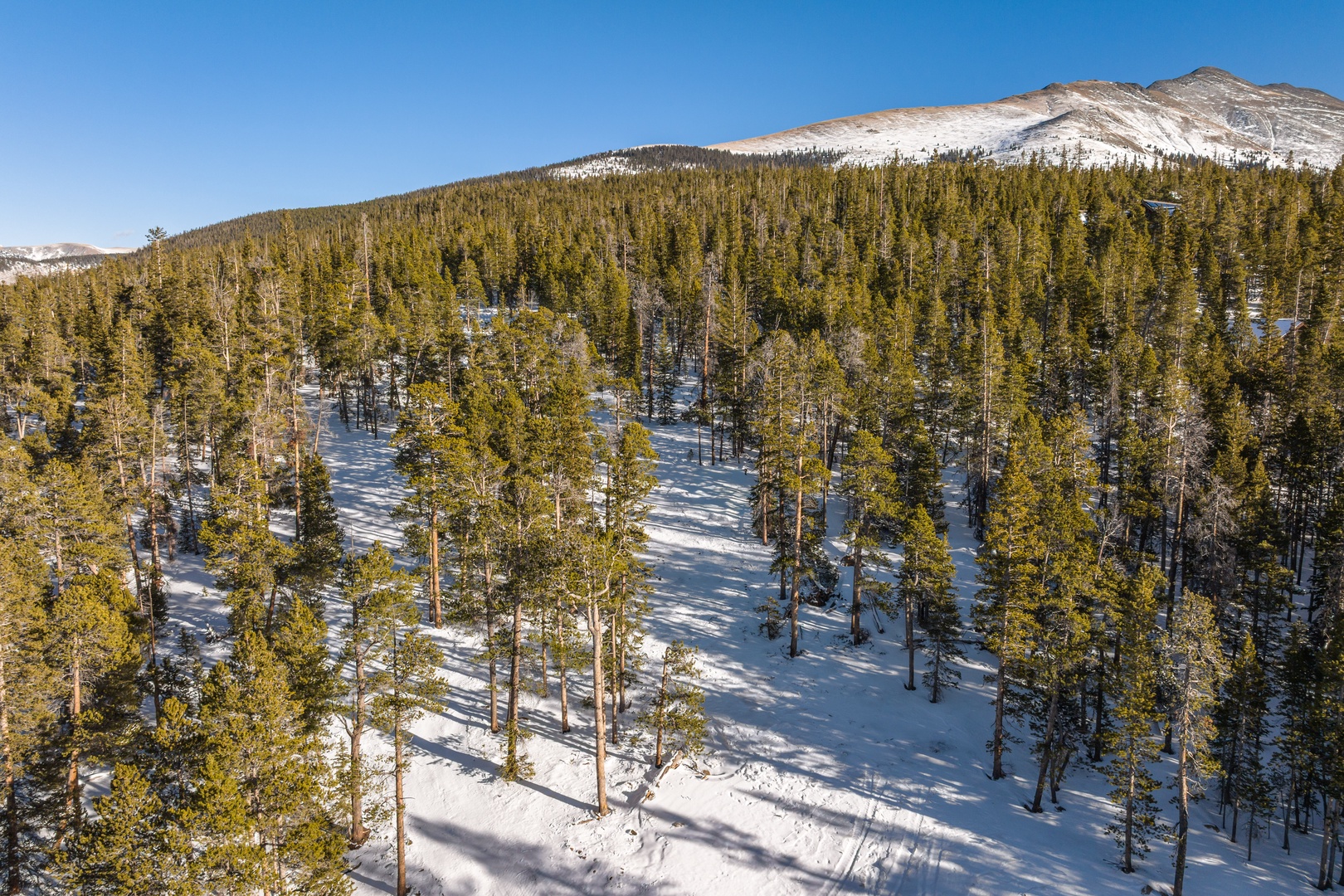 Snow-covered mountain landscape with pristine forest terrain surrounding the property area.