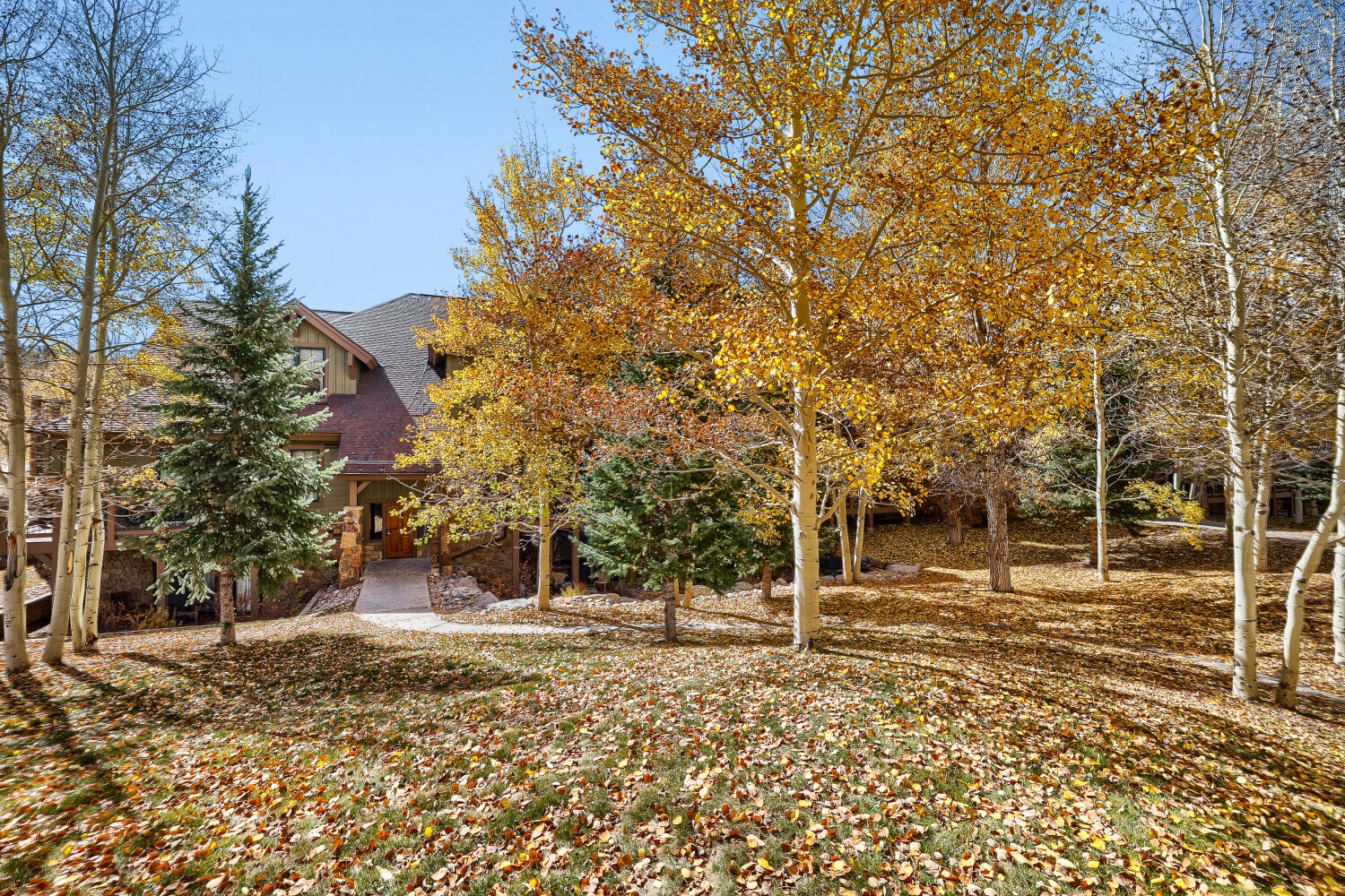 A peaceful mountain retreat nestled among golden aspens and evergreens, offering a serene autumn escape.