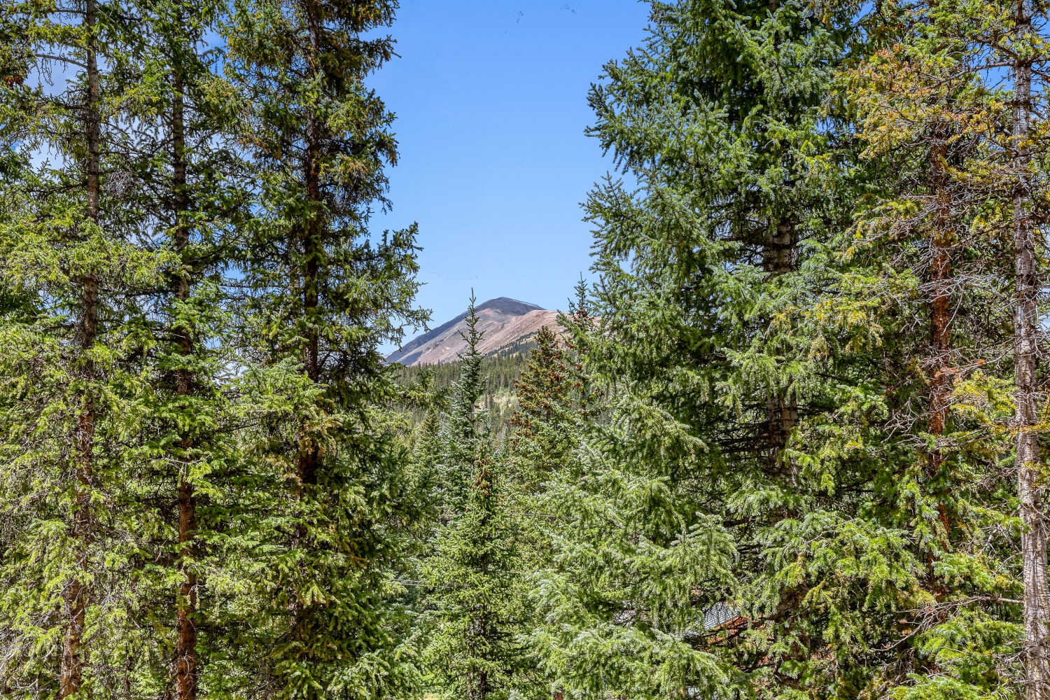 The property is surrounded by natural forest landscape with distant mountain peaks visible through the trees, offering a peaceful wilderness setting.