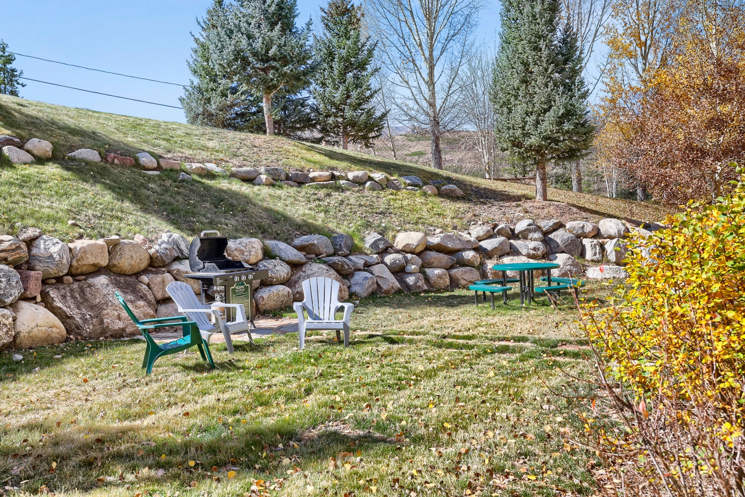 Relaxing backyard retreat with cozy fire pit seating and picnic area surrounded by natural stone landscaping and seasonal foliage—your perfect spot for outdoor gathering.