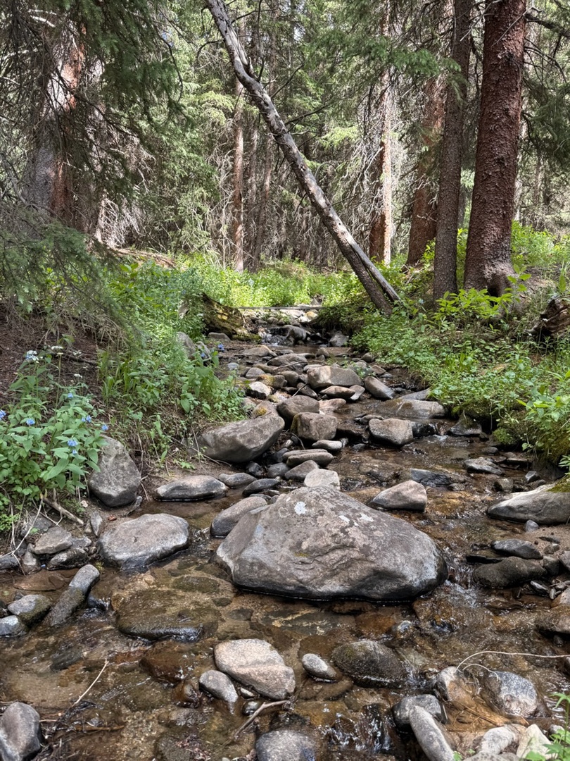 A gentle stream flows over smooth river stones through dense evergreen forest, creating a peaceful natural backdrop for this property nestled in pristine wilderness.
