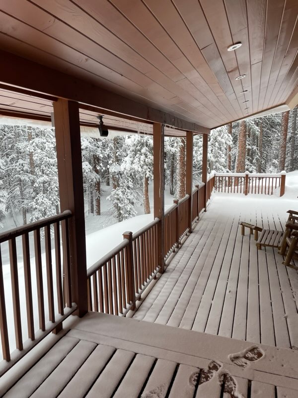 Fresh snow blankets towering pines just beyond your private covered deck—wrap up and watch the forest transform into a winter wonderland from your peaceful outdoor retreat.