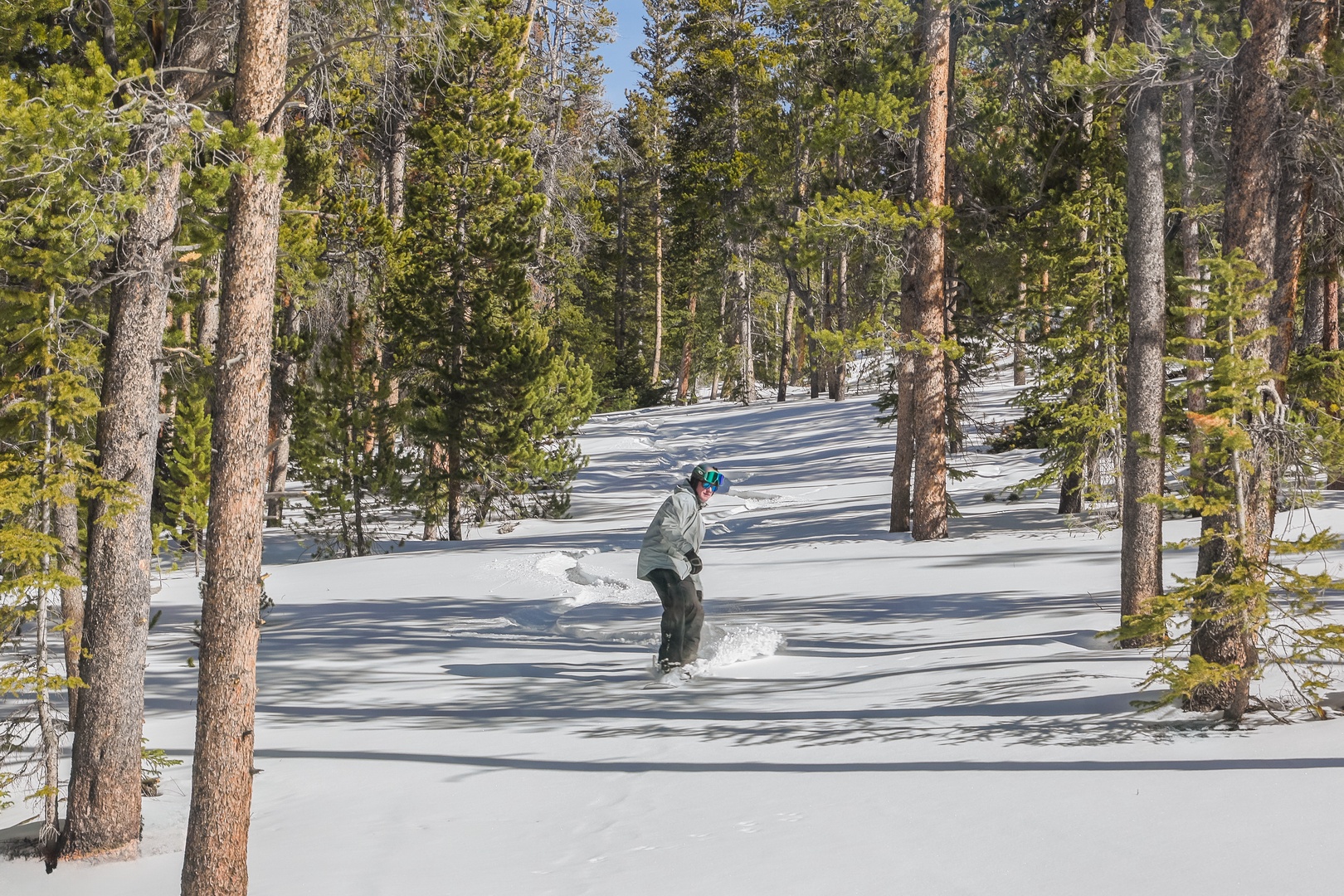 Fresh powder snow weaves through towering pines, creating perfect backcountry skiing terrain just beyond the property.
