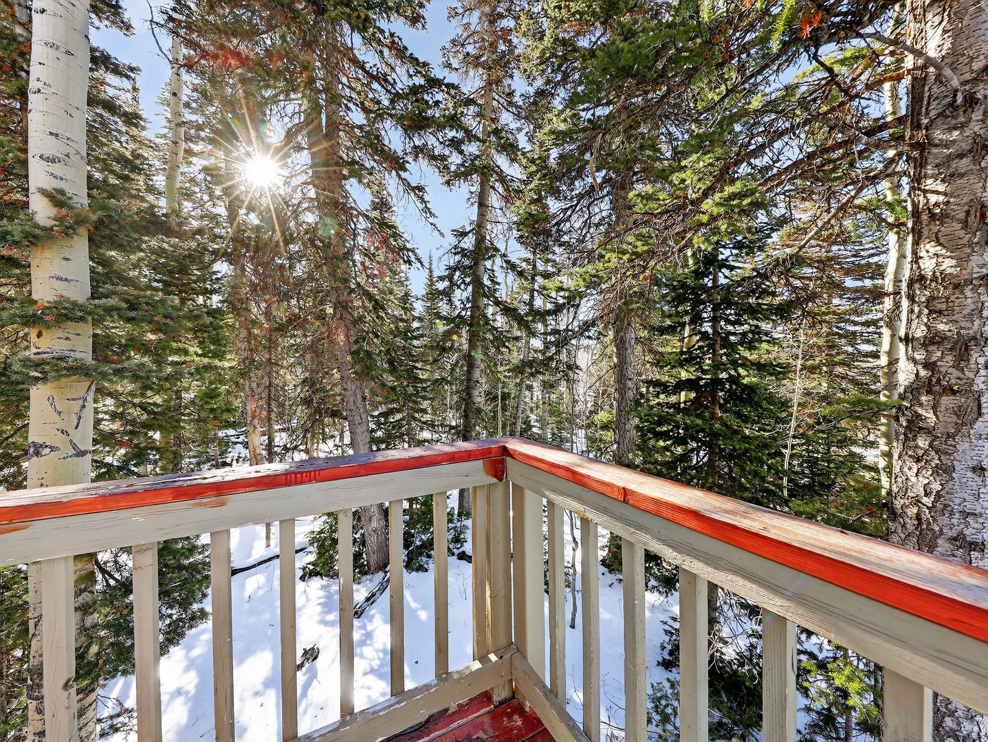 Step onto your private balcony and breathe in the crisp mountain air as sunlight filters through towering evergreens.