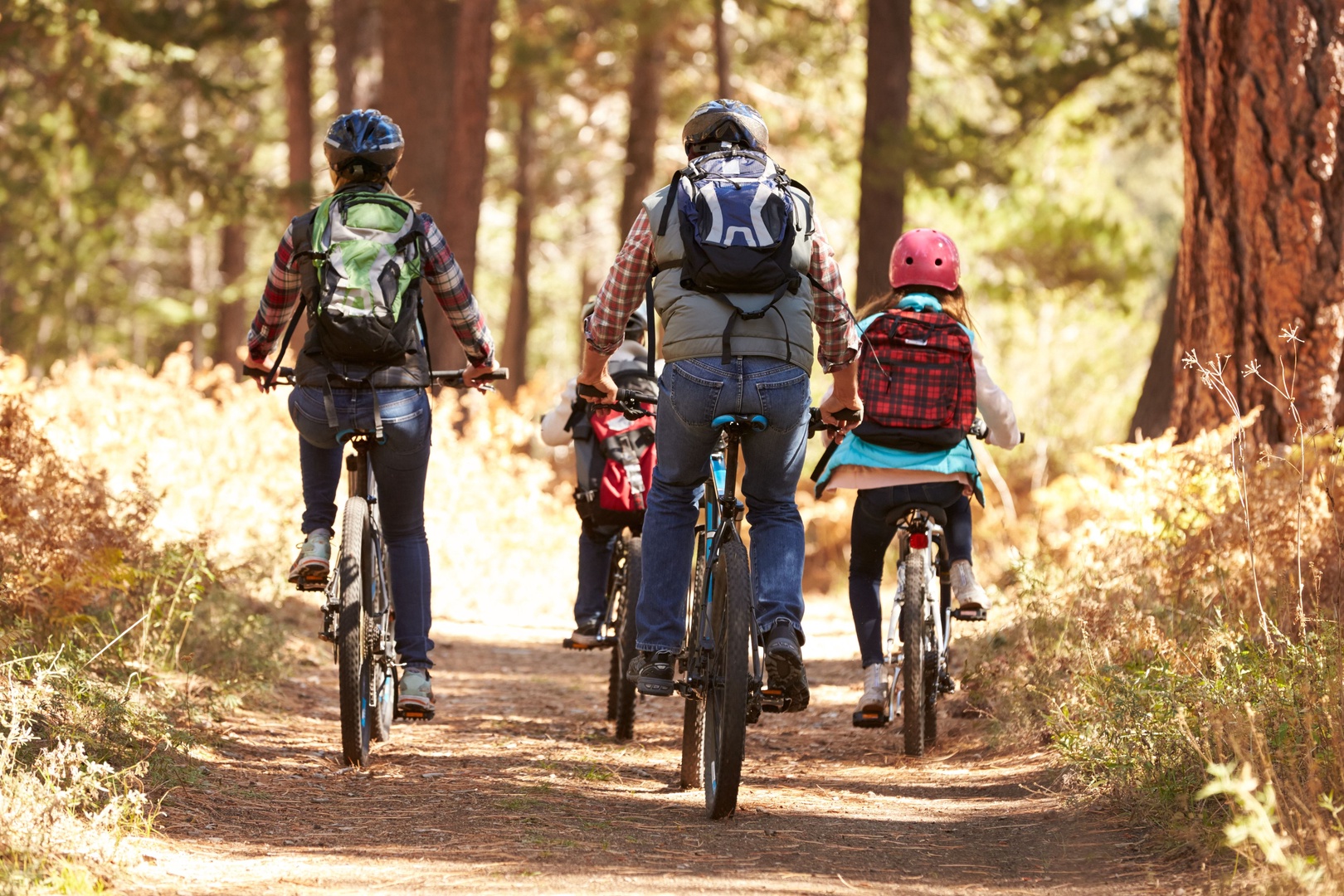 Family biking adventure through a sun-dappled forest trail surrounded by towering trees and golden foliage, perfect for exploring nature together.