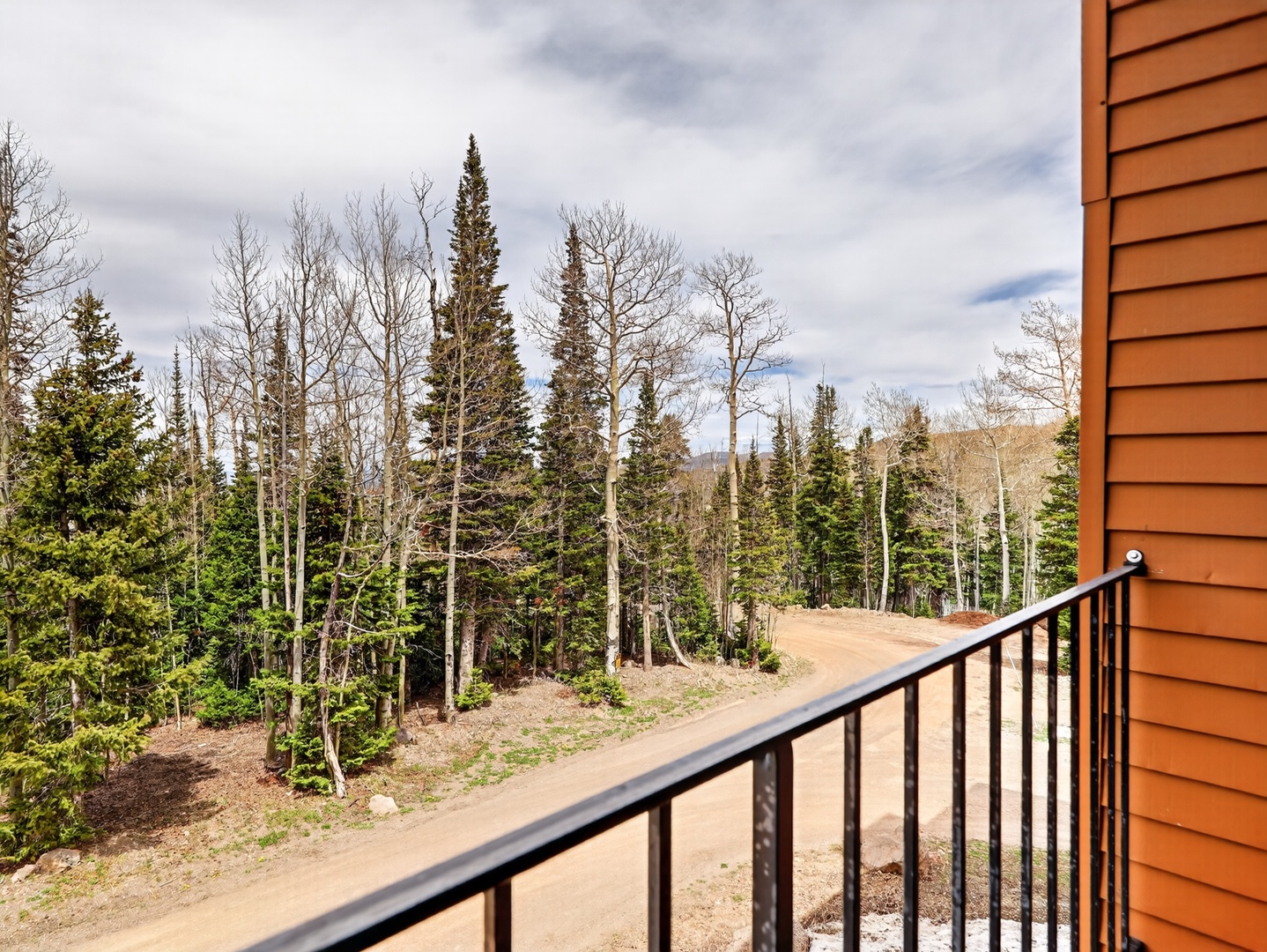 View to the forest from the private balcony