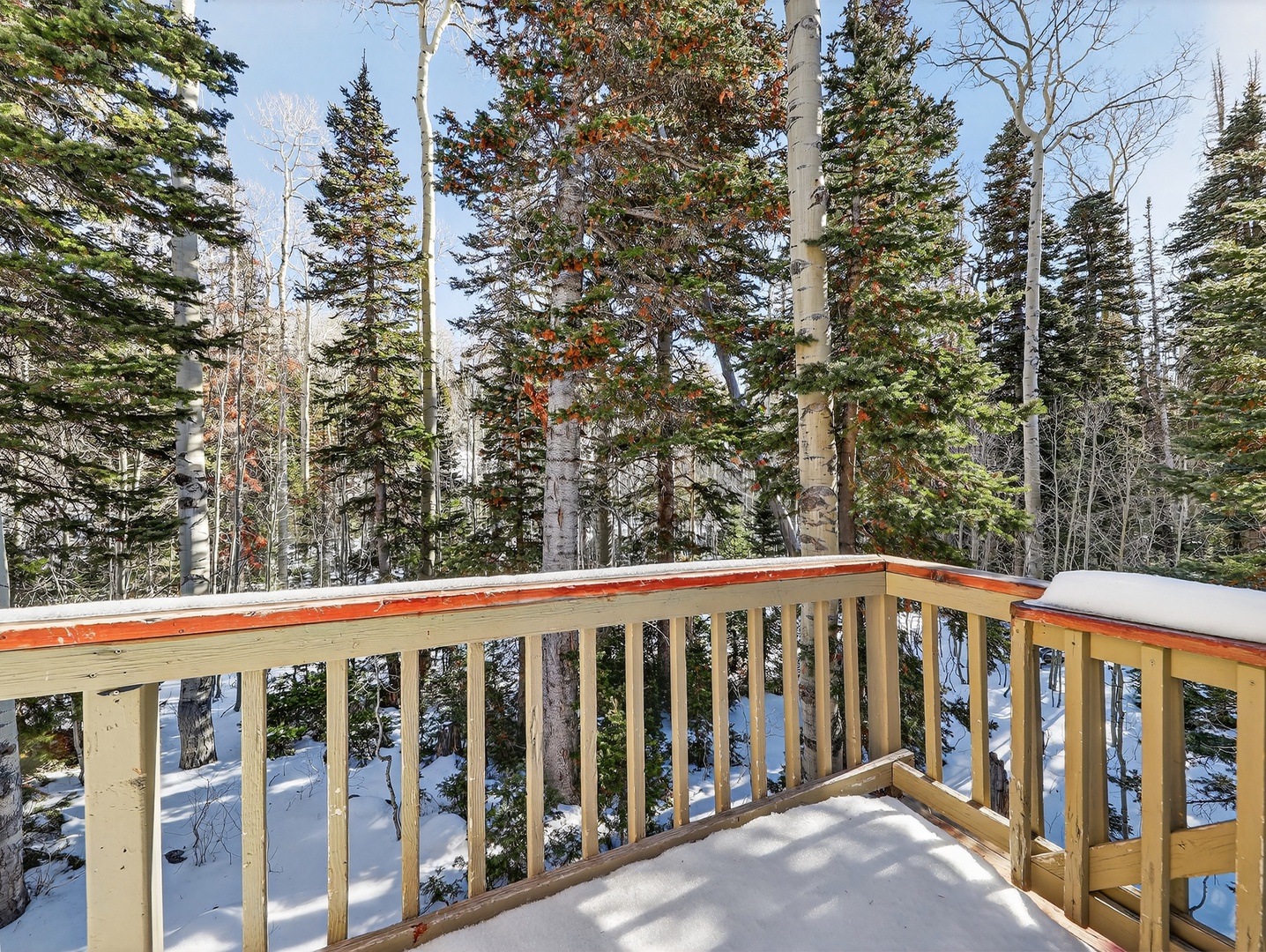 Step onto your private deck and breathe in the crisp mountain air while admiring the pristine forest views.